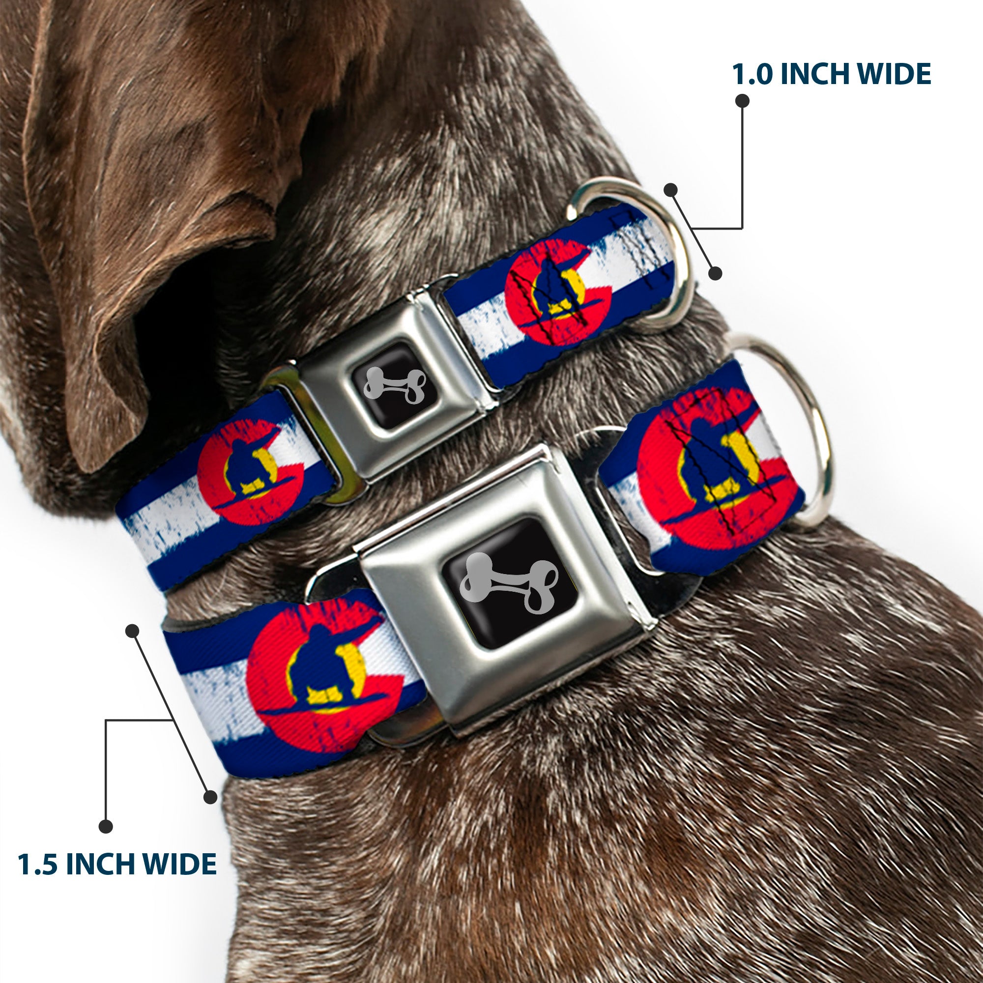 Dog Bone Seatbelt Buckle Collar - Colorado Flag/Snowboarder Weathered Seatbelt Buckle Collars Buckle-Down