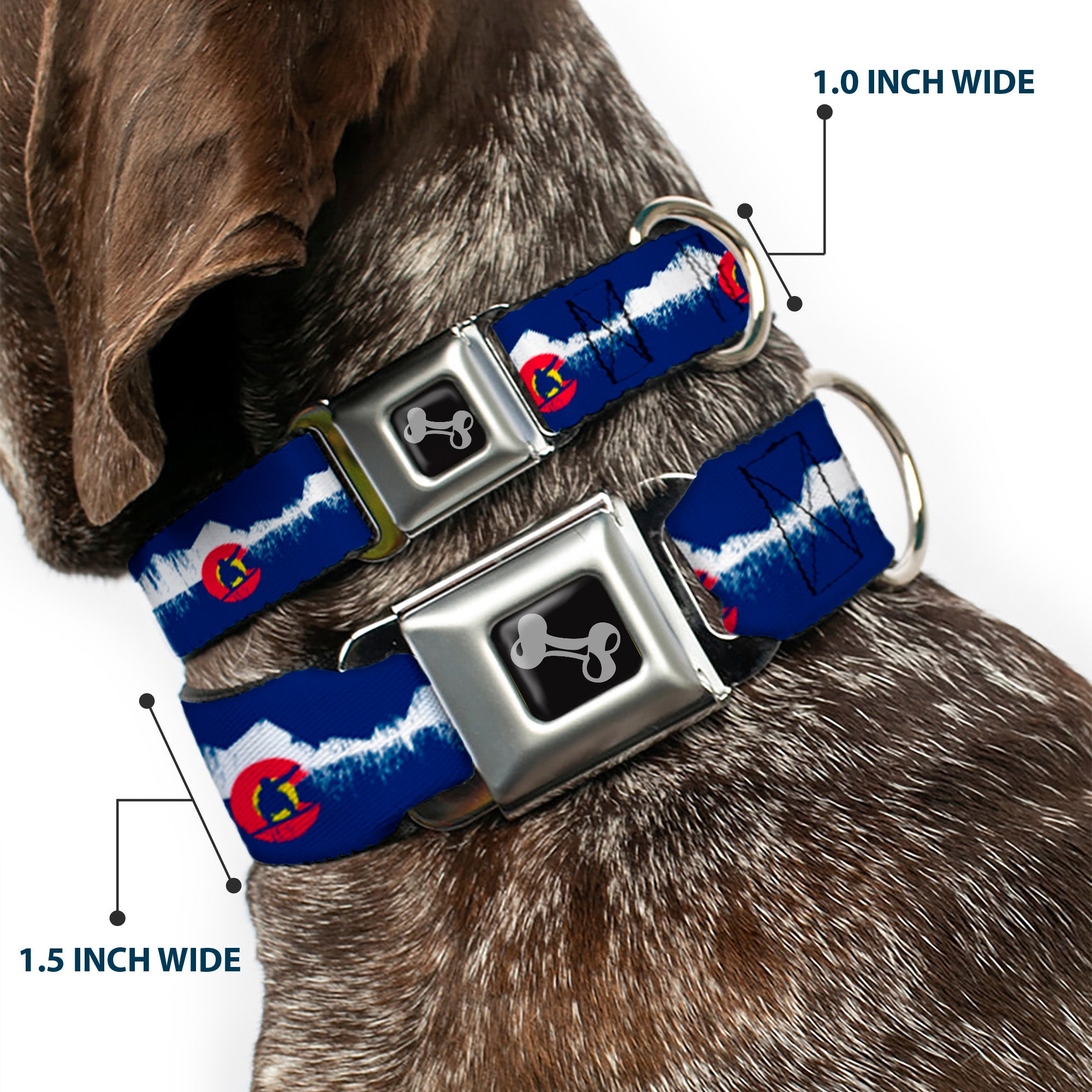 Dog Bone Seatbelt Buckle Collar - Colorado Snowboarder/Snowy Mountains Weathered Seatbelt Buckle Collars Buckle-Down