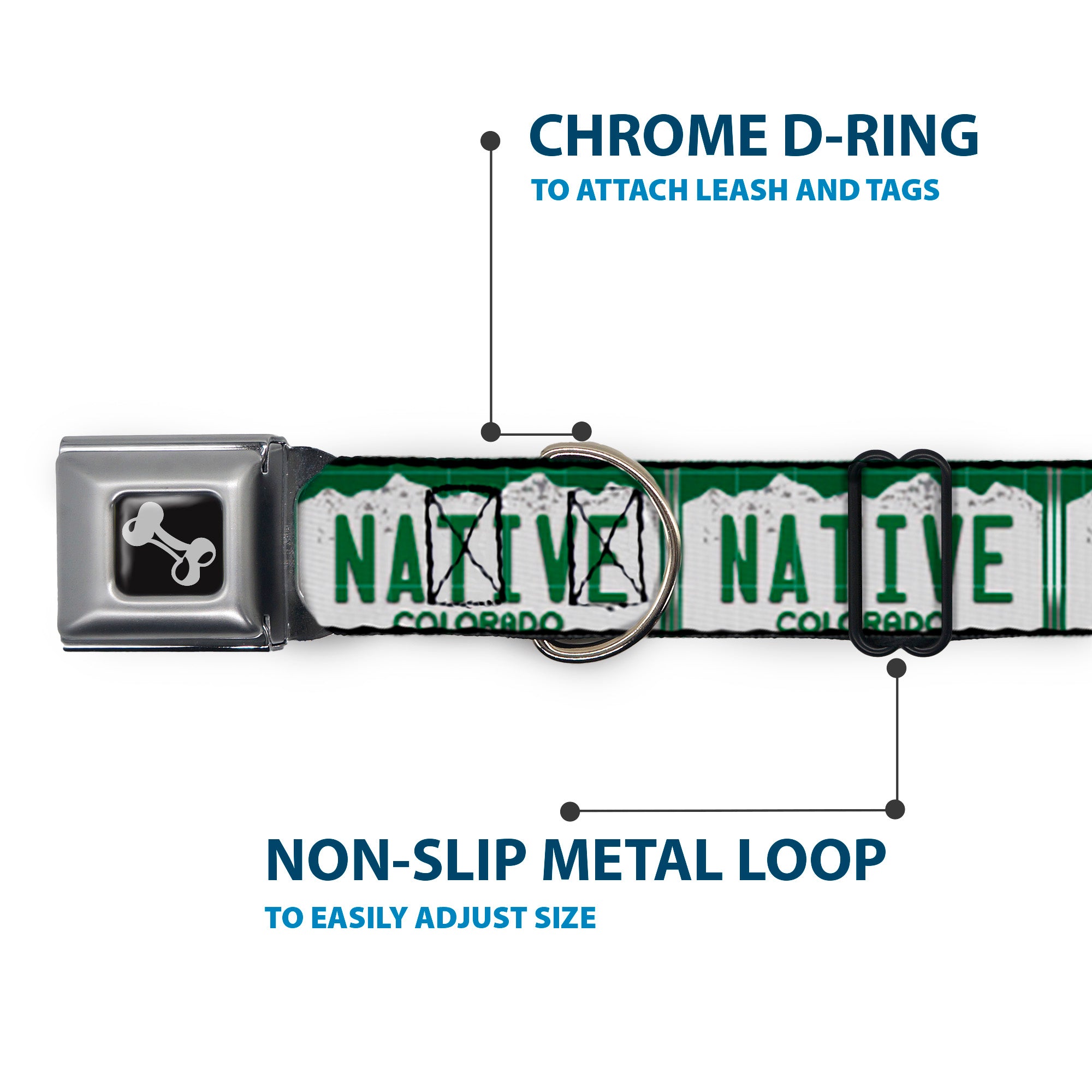 Dog Bone Seatbelt Buckle Collar - Colorado License Plate NATIVE Seatbelt Buckle Collars Buckle-Down