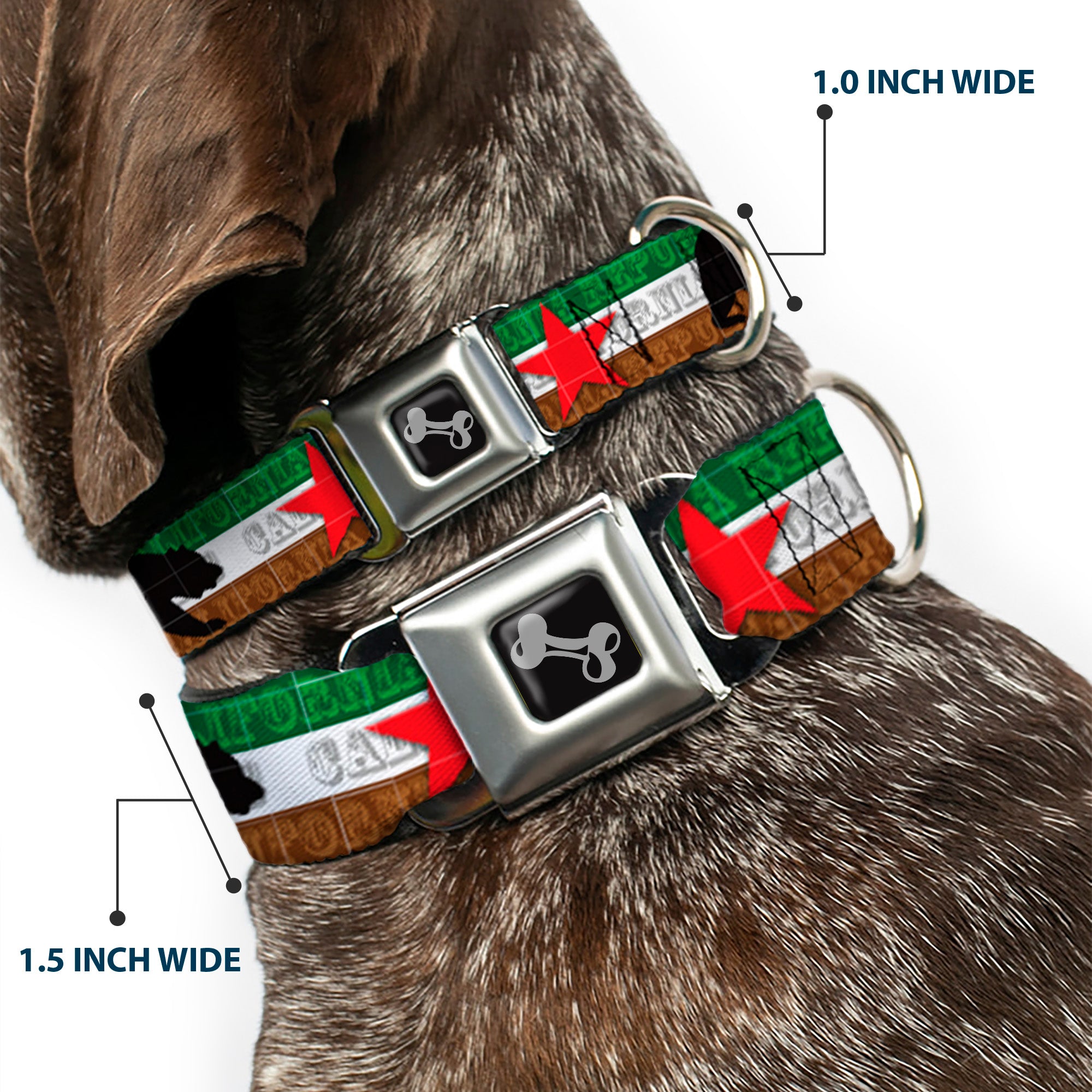 Dog Bone Seatbelt Buckle Collar - Cali Bear Silhouette & Star/CALIFORNIA REPUBLIC Green/White/Brown/Black/Red Seatbelt Buckle Collars Buckle-Down
