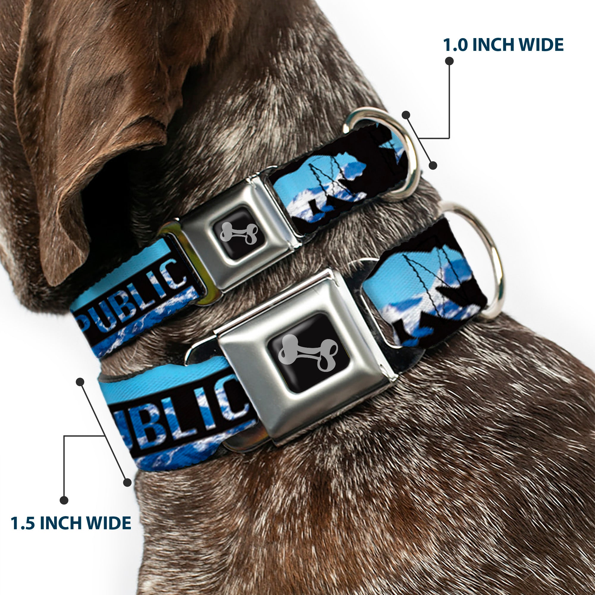 Dog Bone Seatbelt Buckle Collar - CALIFORNIA REPUBLIC/Bear/Stars Silhouette Black/Scenic Mountains Seatbelt Buckle Collars Buckle-Down