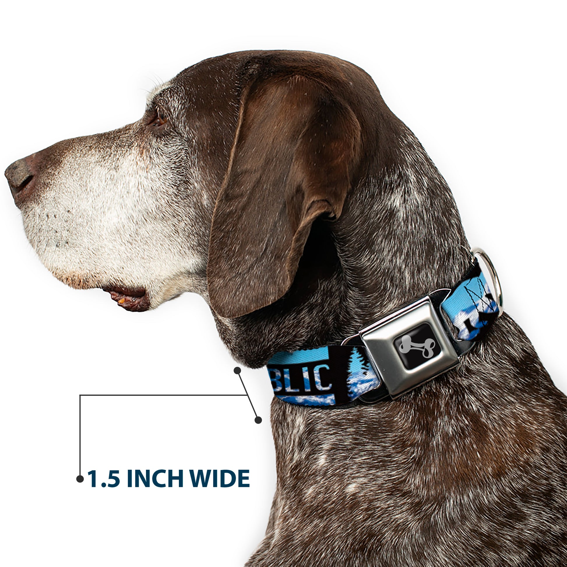 Dog Bone Seatbelt Buckle Collar - CALIFORNIA REPUBLIC/Bear/Stars Silhouette Black/Scenic Mountains Seatbelt Buckle Collars Buckle-Down