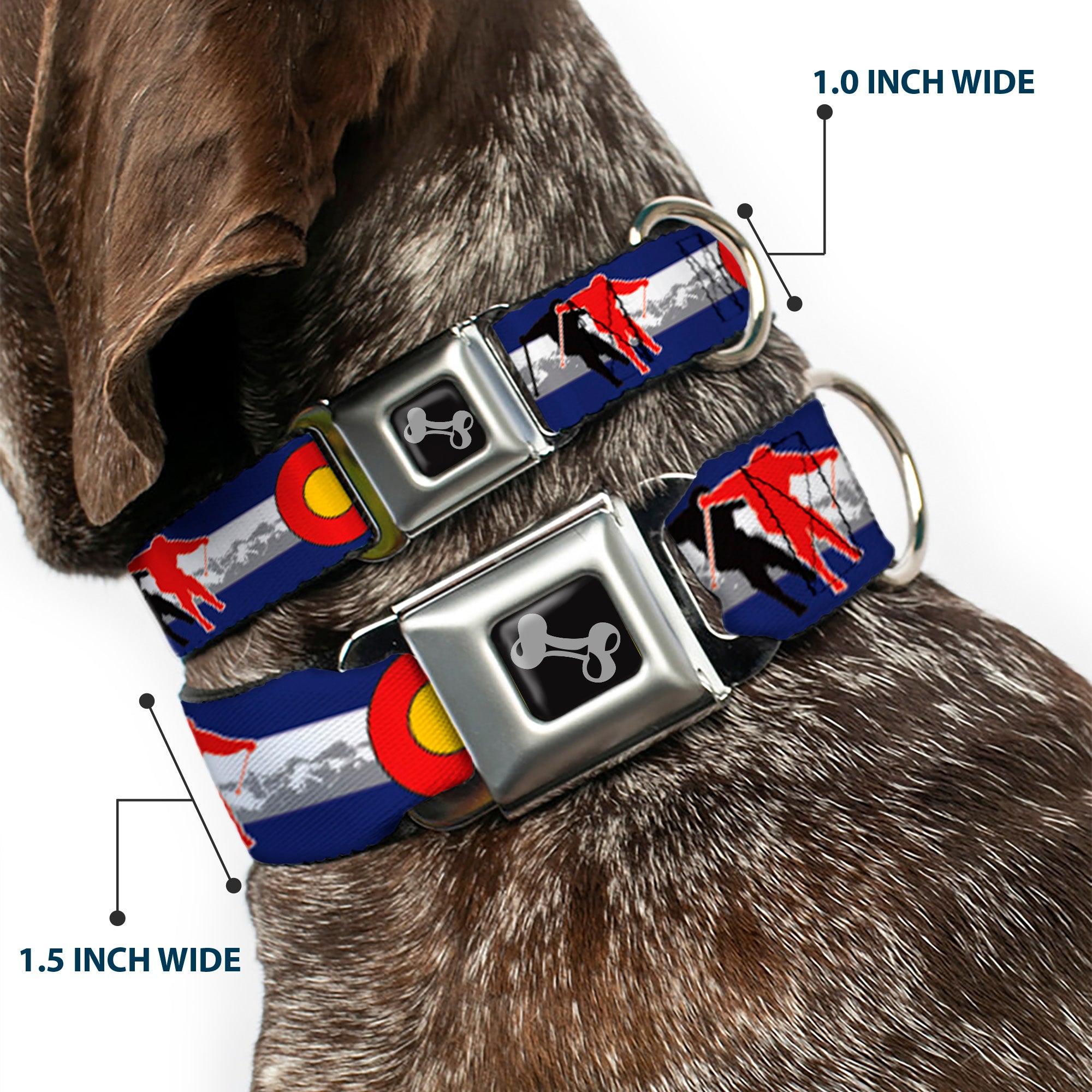 Dog Bone Seatbelt Buckle Collar - Colorado Skier1 Red/Mountains Seatbelt Buckle Collars Buckle-Down