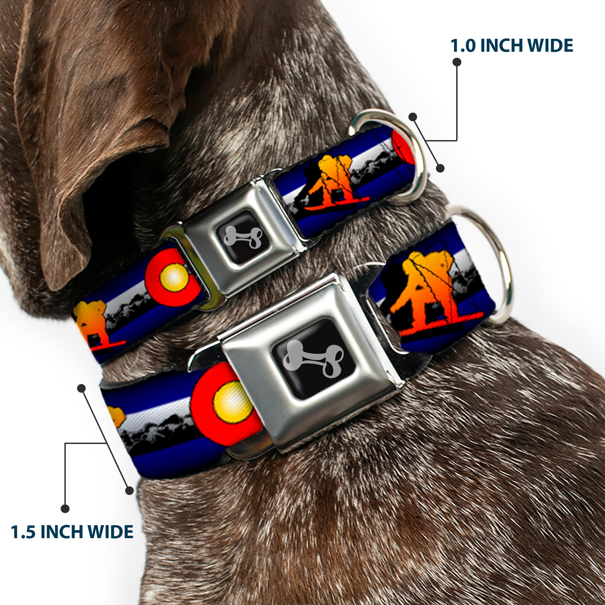 Dog Bone Seatbelt Buckle Collar - Colorado Snowboarder3 Orange/Mountians Seatbelt Buckle Collars Buckle-Down