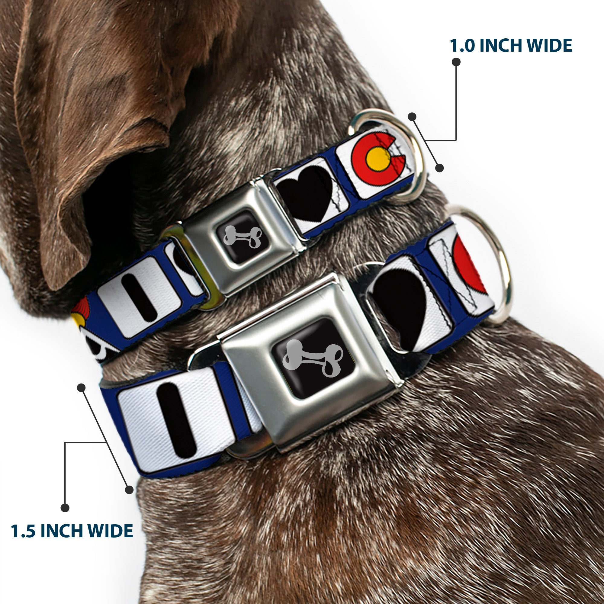 Dog Bone Seatbelt Buckle Collar - I HEART COLORADO SKIING Logos/Mountain Seatbelt Buckle Collars Buckle-Down