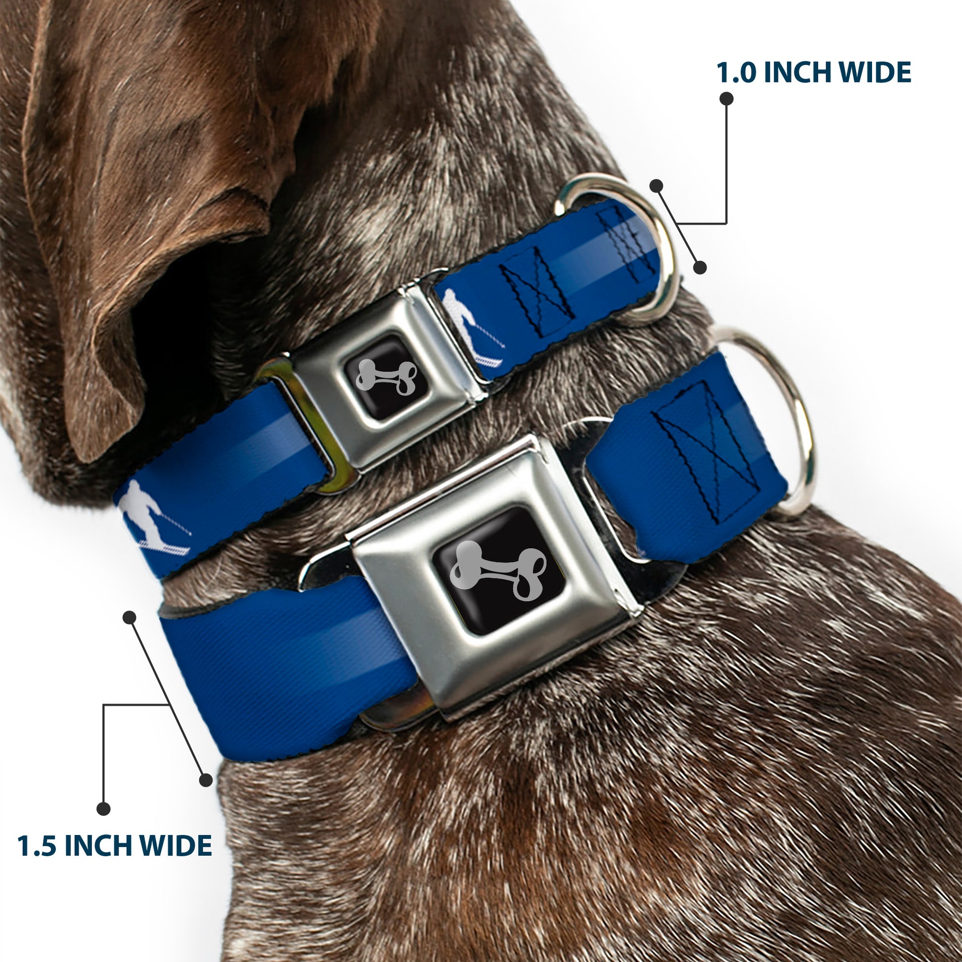 Dog Bone Seatbelt Buckle Collar - Colorado Skier2 Blue/White/Red/Yellow Seatbelt Buckle Collars Buckle-Down