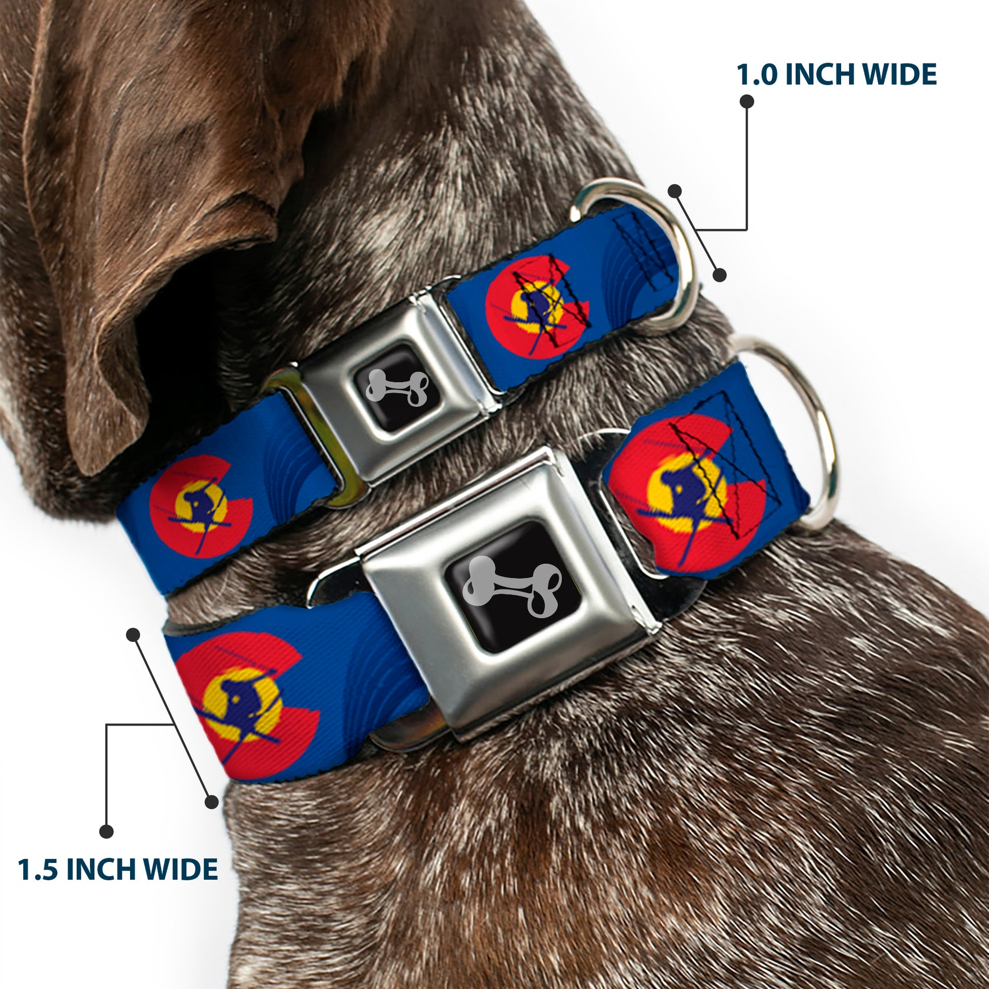 Dog Bone Seatbelt Buckle Collar - Colorado Skier3 Blues/Red/Yellow Seatbelt Buckle Collars Buckle-Down