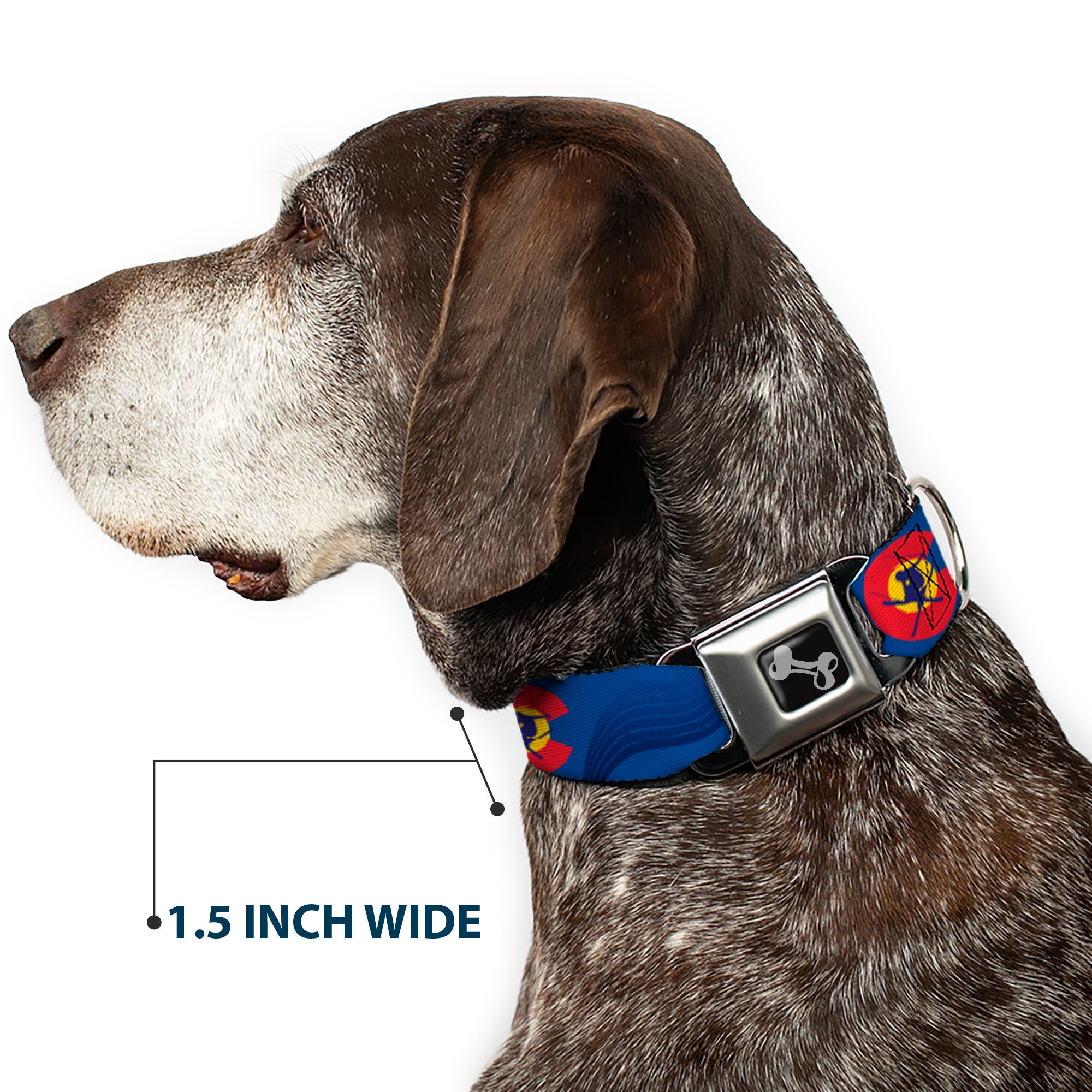 Dog Bone Seatbelt Buckle Collar - Colorado Skier3 Blues/Red/Yellow Seatbelt Buckle Collars Buckle-Down