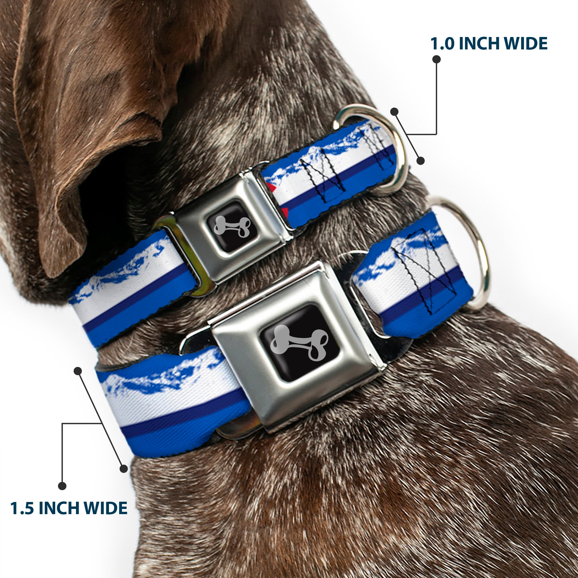 Dog Bone Seatbelt Buckle Collar - Colorado Skier4/Mountains Blues/White/Red/Yellow Seatbelt Buckle Collars Buckle-Down