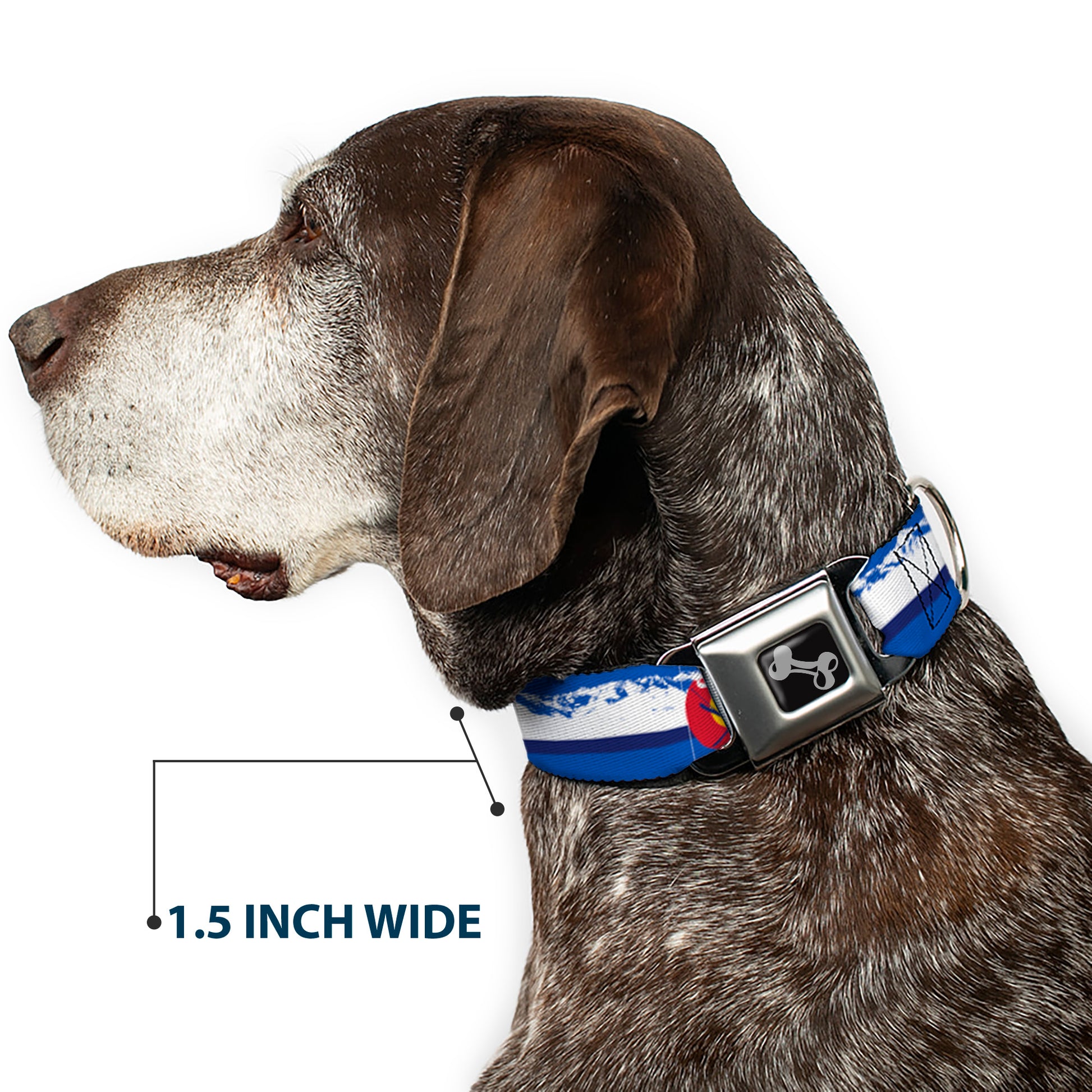 Dog Bone Seatbelt Buckle Collar - Colorado Skier4/Mountains Blues/White/Red/Yellow Seatbelt Buckle Collars Buckle-Down