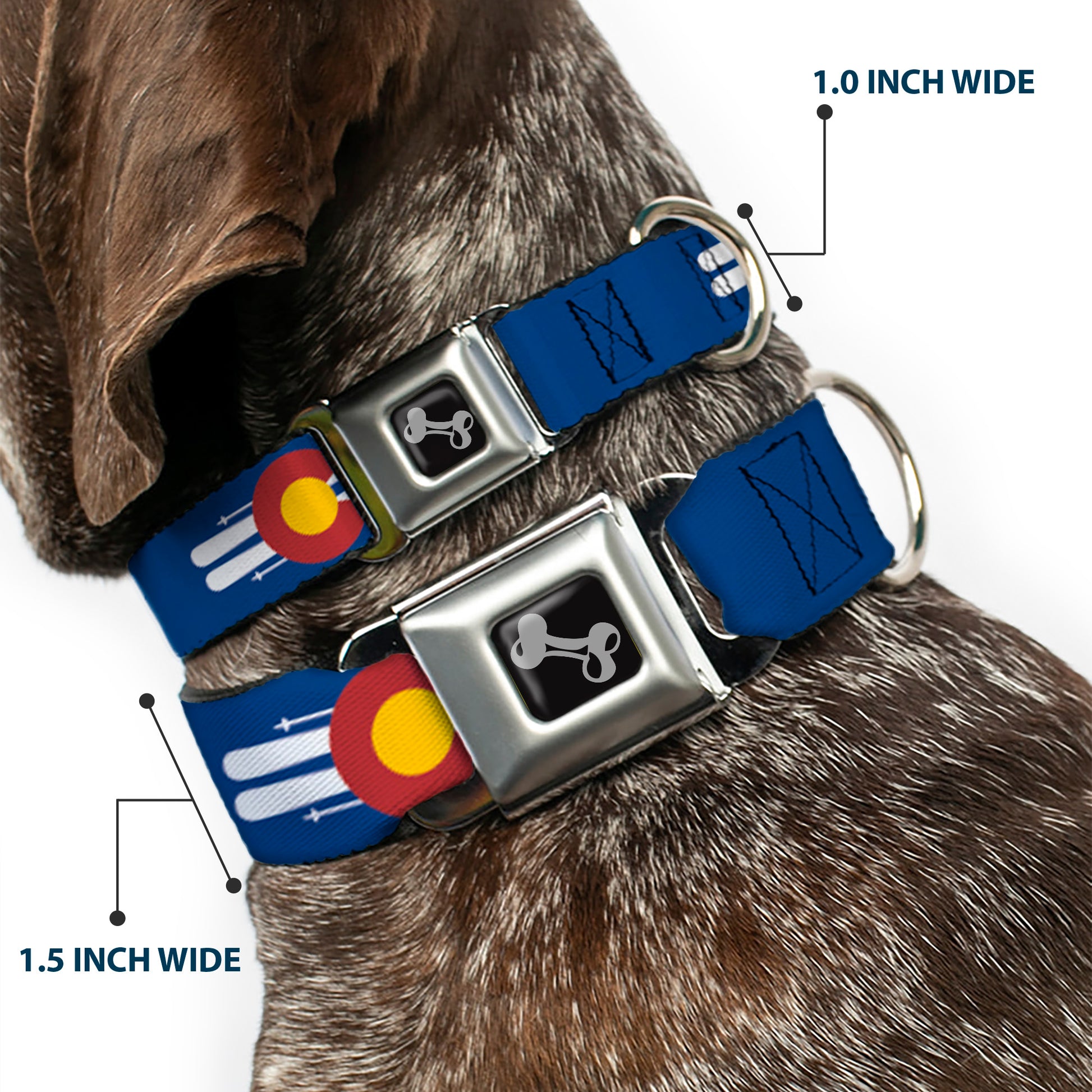 Dog Bone Seatbelt Buckle Collar - Colorado Logo/Skis Blue/White/Red/Yellow Seatbelt Buckle Collars Buckle-Down