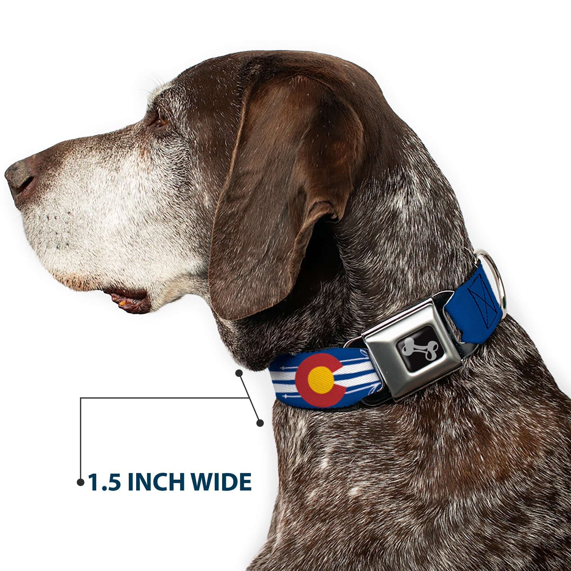 Dog Bone Seatbelt Buckle Collar - Colorado Logo/Skis Blue/White/Red/Yellow Seatbelt Buckle Collars Buckle-Down