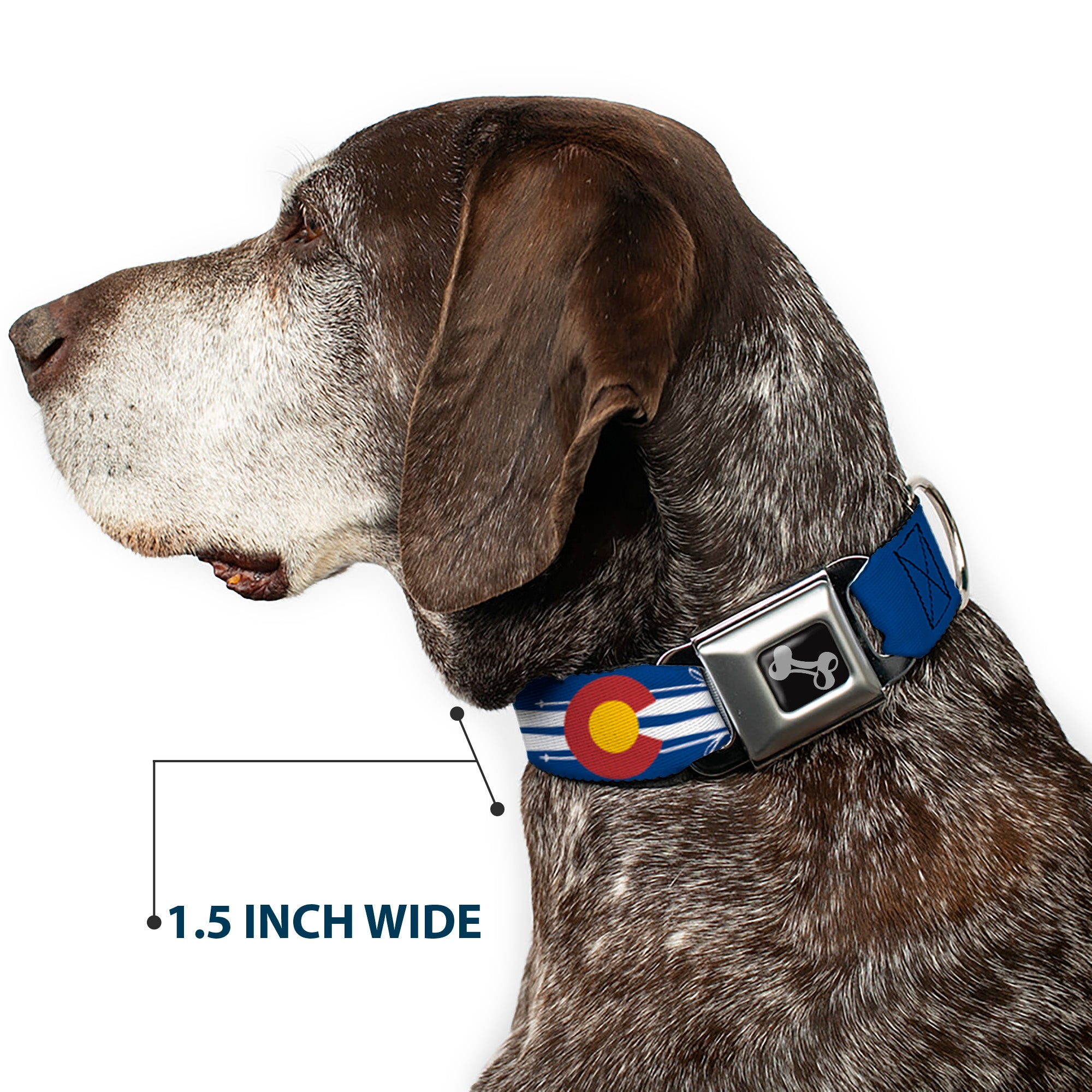 Dog Bone Seatbelt Buckle Collar - Colorado Logo/Skis Blue/White/Red/Yellow Seatbelt Buckle Collars Buckle-Down