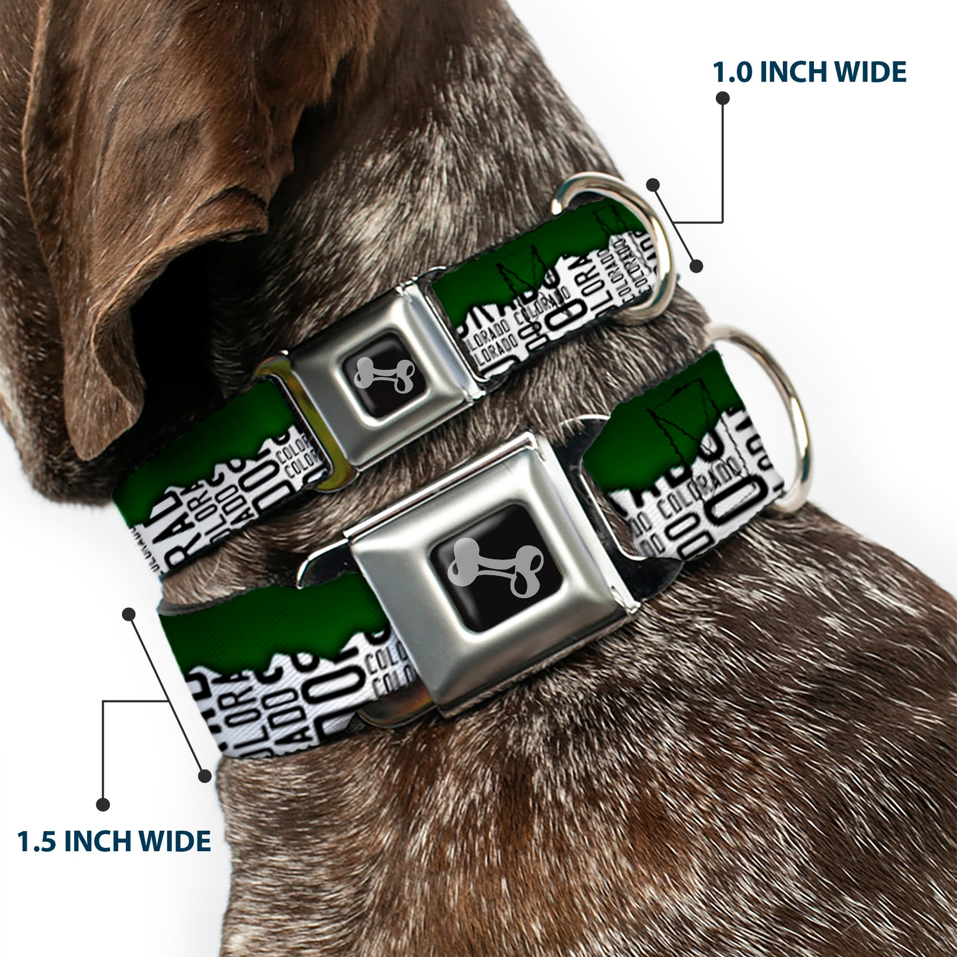 Dog Bone Seatbelt Buckle Collar - Colorado Mountains Green/White/Black Text Seatbelt Buckle Collars Buckle-Down