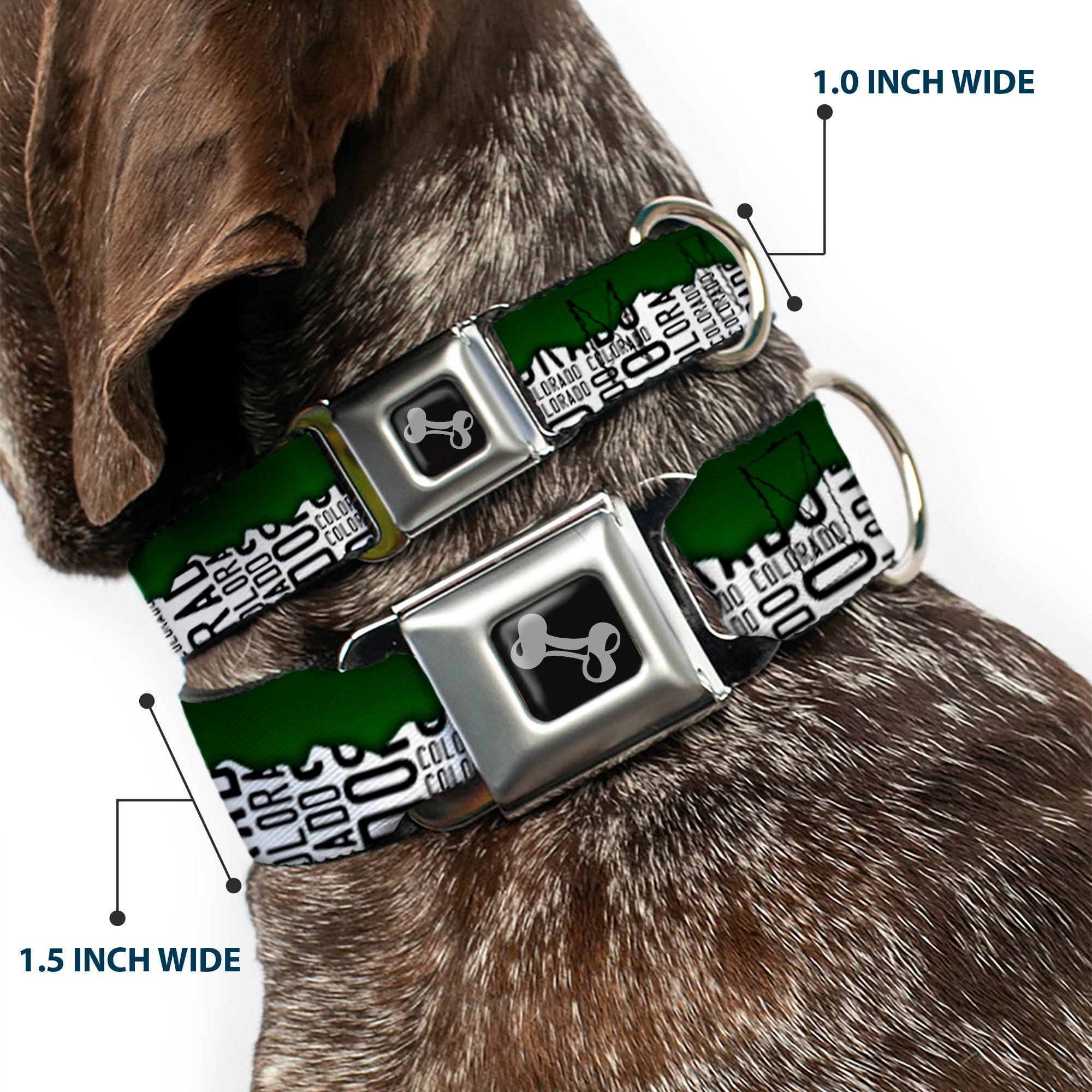 Dog Bone Seatbelt Buckle Collar - Colorado Mountains Green/White/Black Text Seatbelt Buckle Collars Buckle-Down