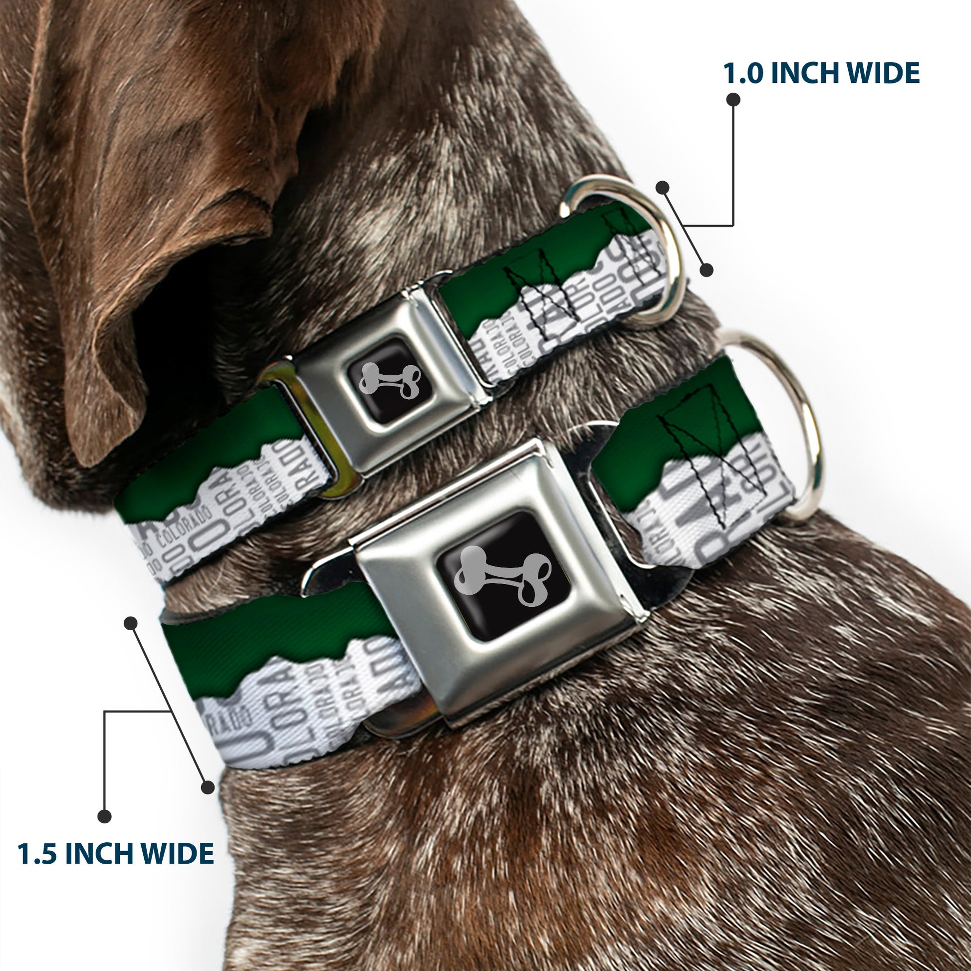Dog Bone Seatbelt Buckle Collar - Colorado Mountains Green/White/Gray Text Seatbelt Buckle Collars Buckle-Down