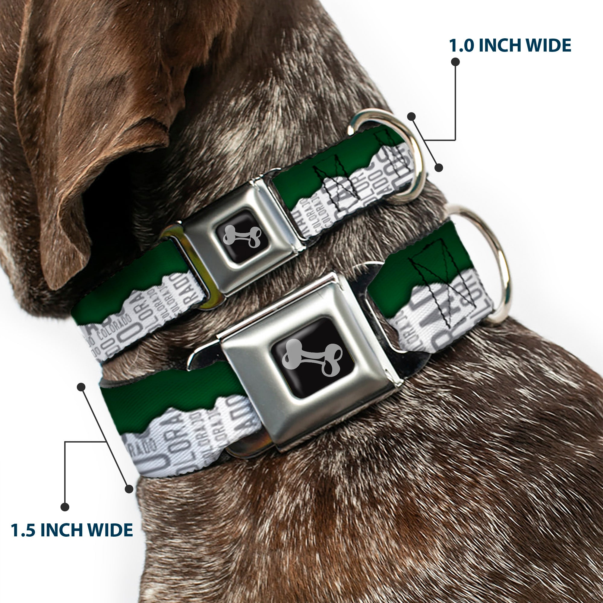 Dog Bone Seatbelt Buckle Collar - Colorado Mountains Green/White/Gray Text Seatbelt Buckle Collars Buckle-Down