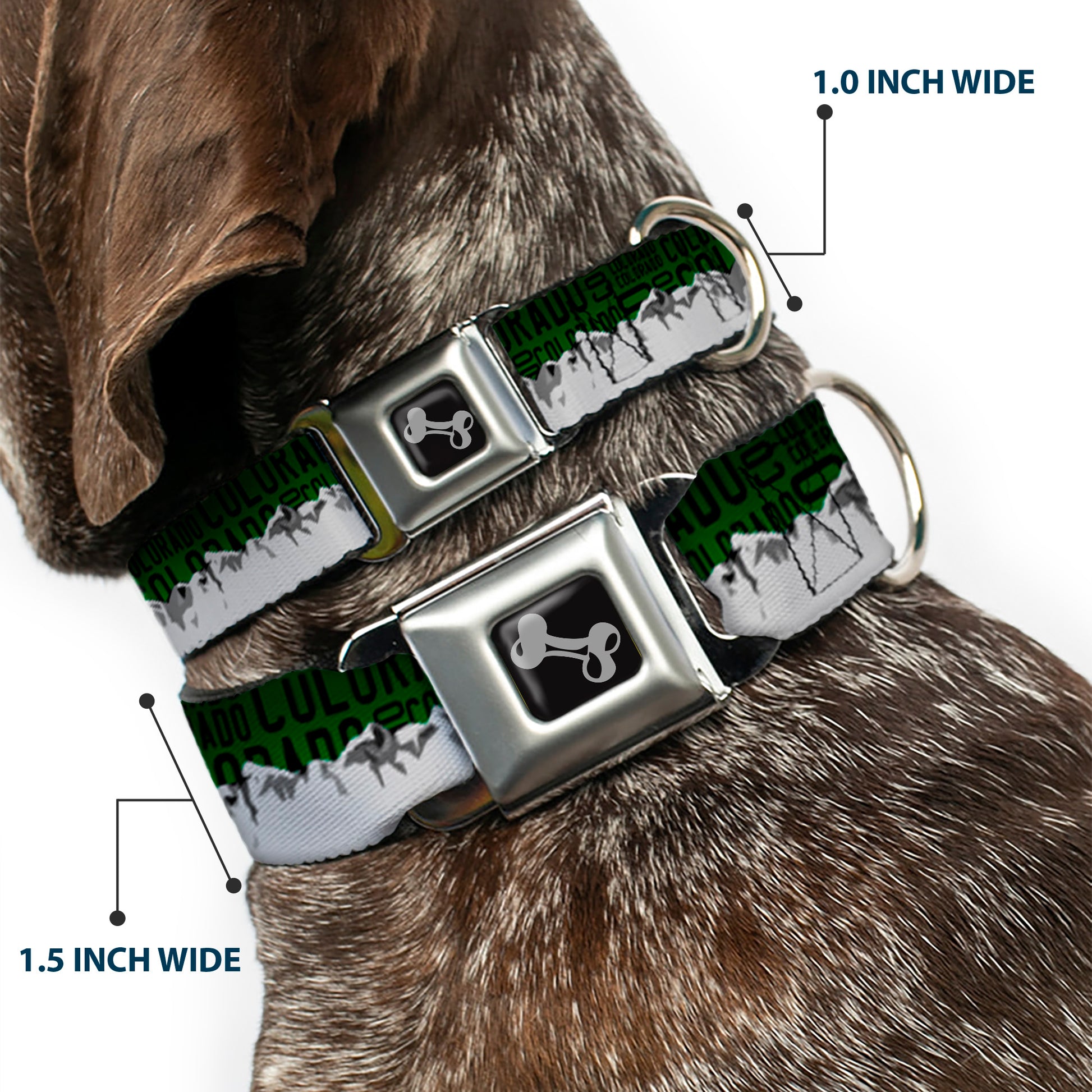 Dog Bone Seatbelt Buckle Collar - Colorado Mountains Green/Black Text/Grays Seatbelt Buckle Collars Buckle-Down