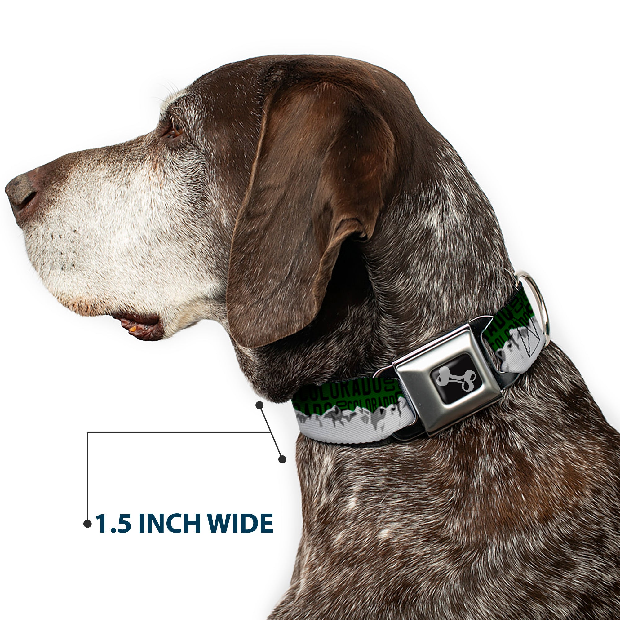 Dog Bone Seatbelt Buckle Collar - Colorado Mountains Green/Black Text/Grays Seatbelt Buckle Collars Buckle-Down