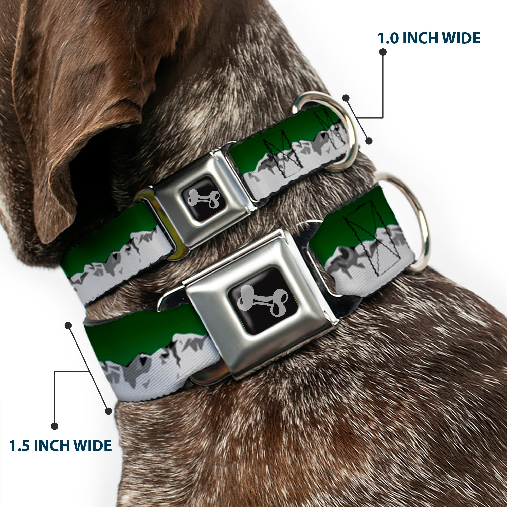 Dog Bone Seatbelt Buckle Collar - Colorado Mountains Green/Grays Seatbelt Buckle Collars Buckle-Down