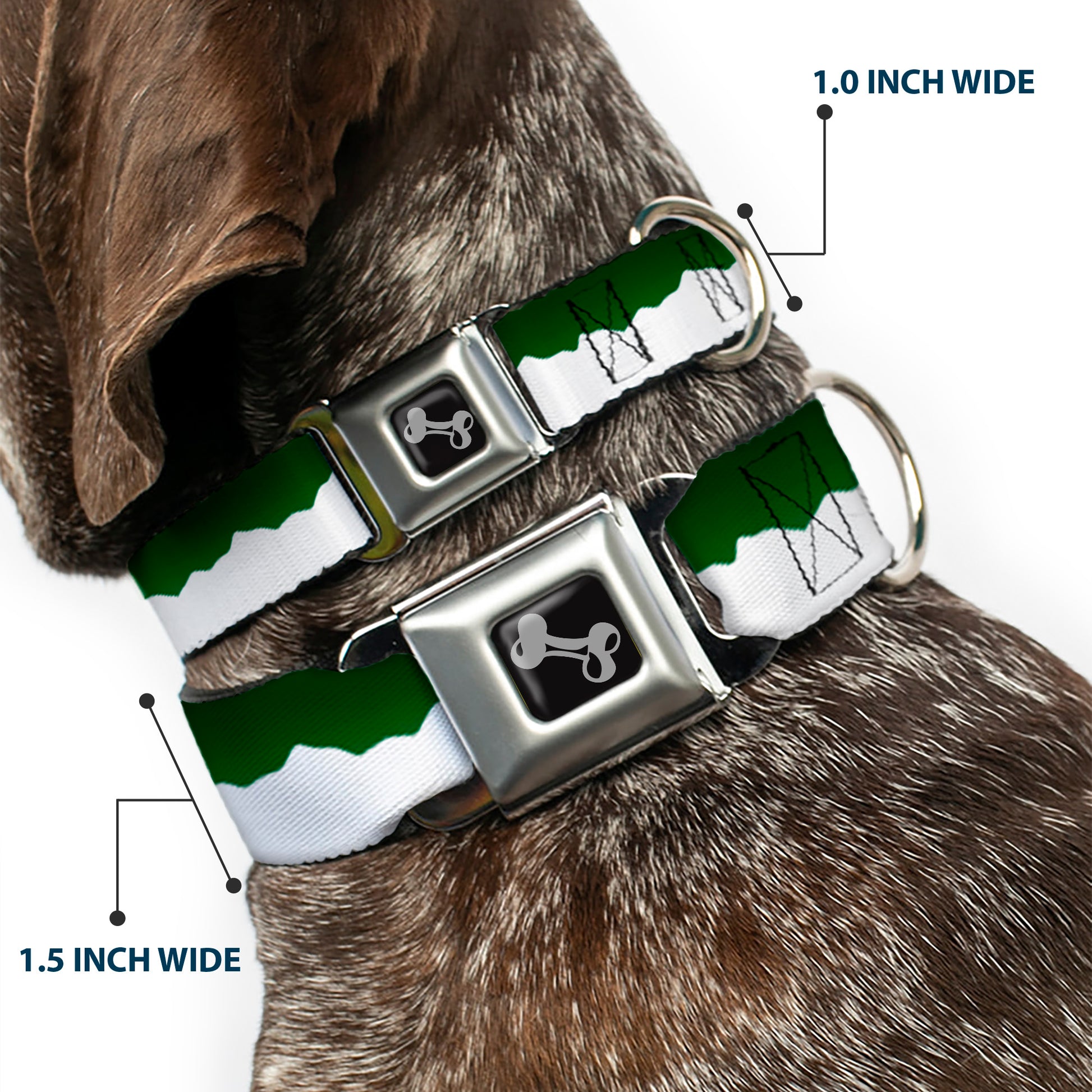 Dog Bone Seatbelt Buckle Collar - Colorado Solid Mountains Green/White Seatbelt Buckle Collars Buckle-Down