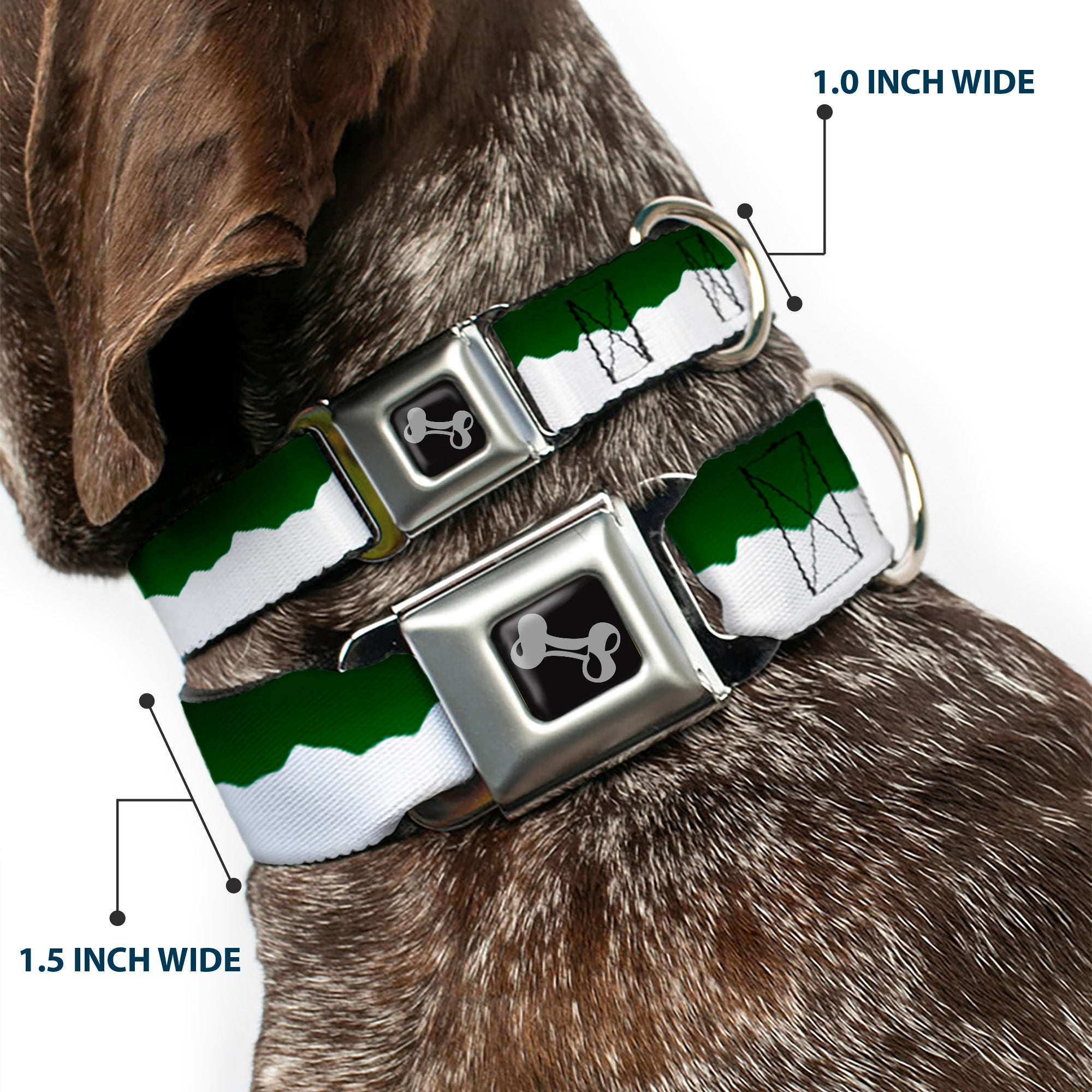 Dog Bone Seatbelt Buckle Collar - Colorado Solid Mountains Green/White Seatbelt Buckle Collars Buckle-Down