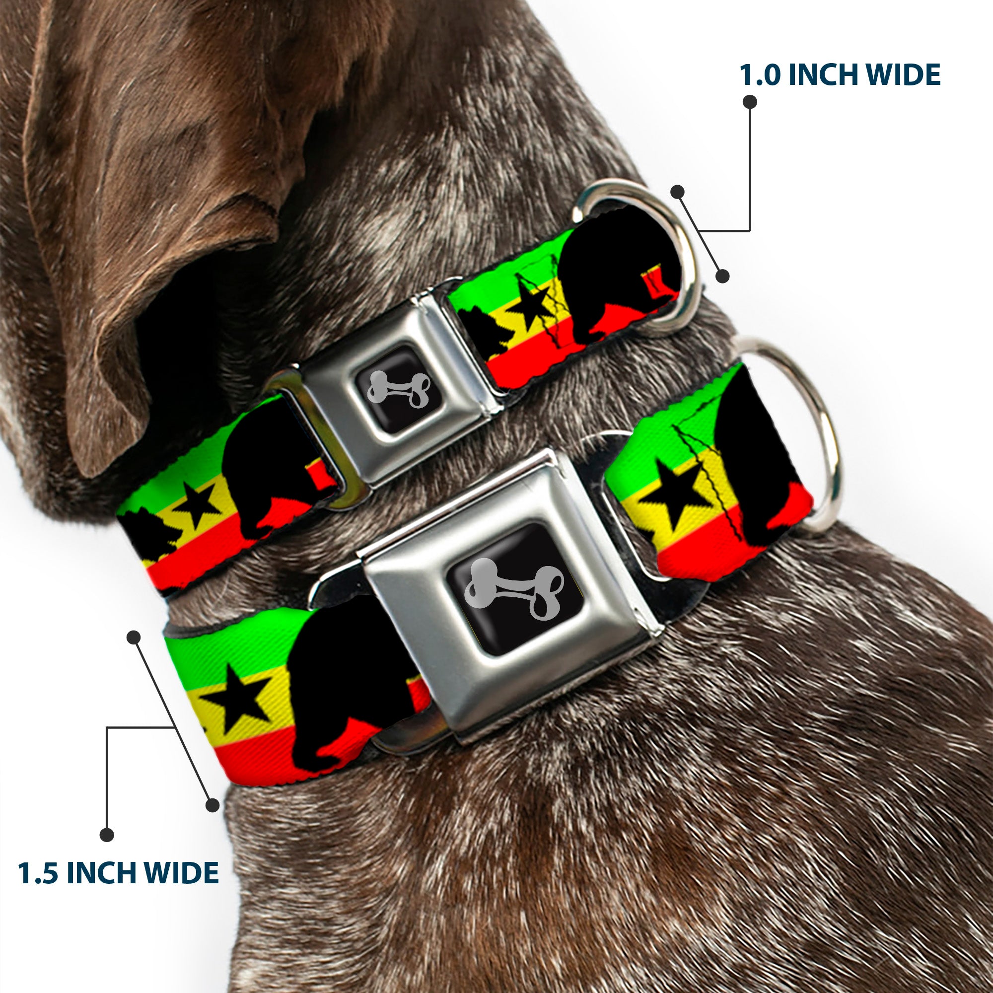 Dog Bone Seatbelt Buckle Collar - Cali Bear/Star Silhouette Rasta/Black Seatbelt Buckle Collars Buckle-Down