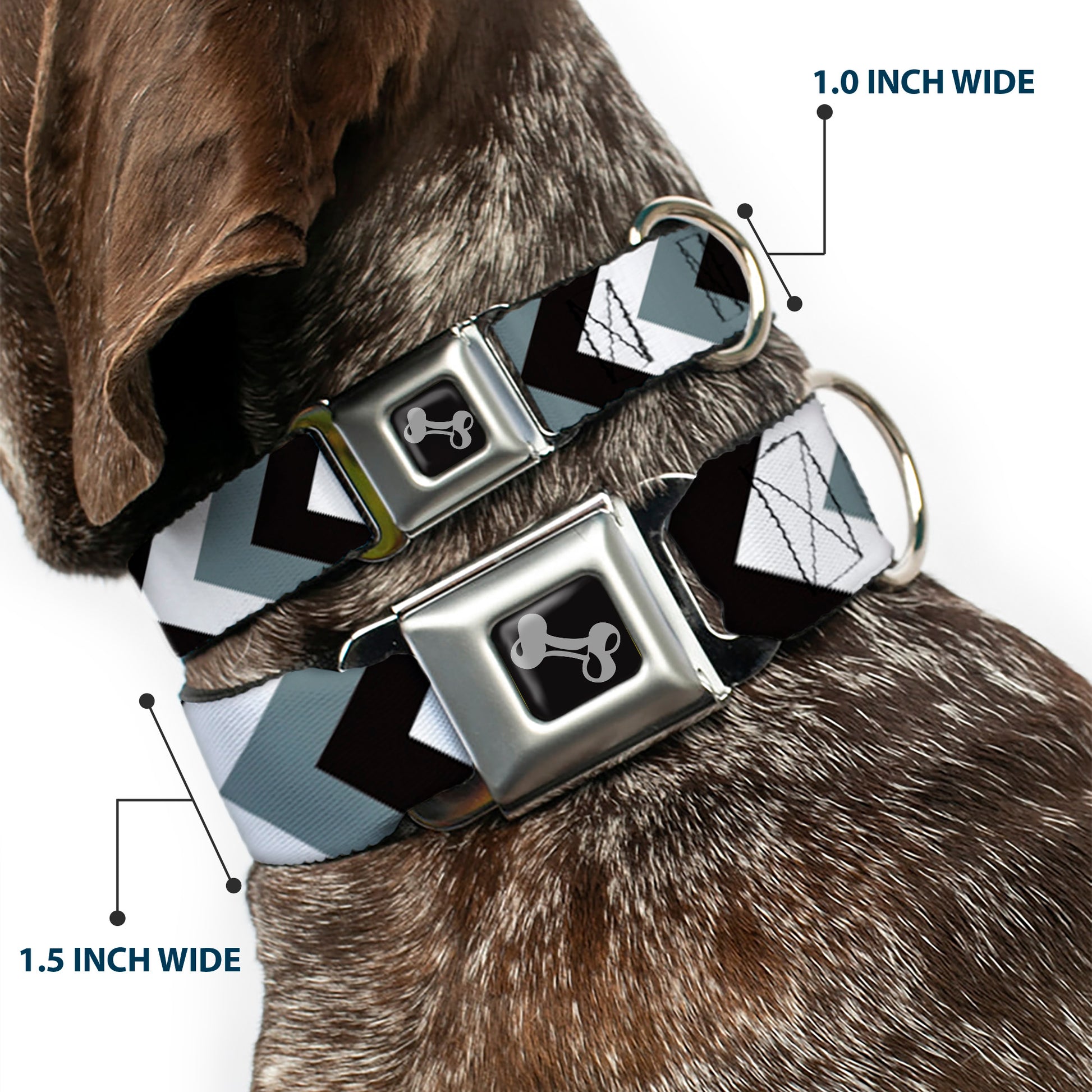Dog Bone Seatbelt Buckle Collar - Chevron White/Gray/Black Seatbelt Buckle Collars Buckle-Down