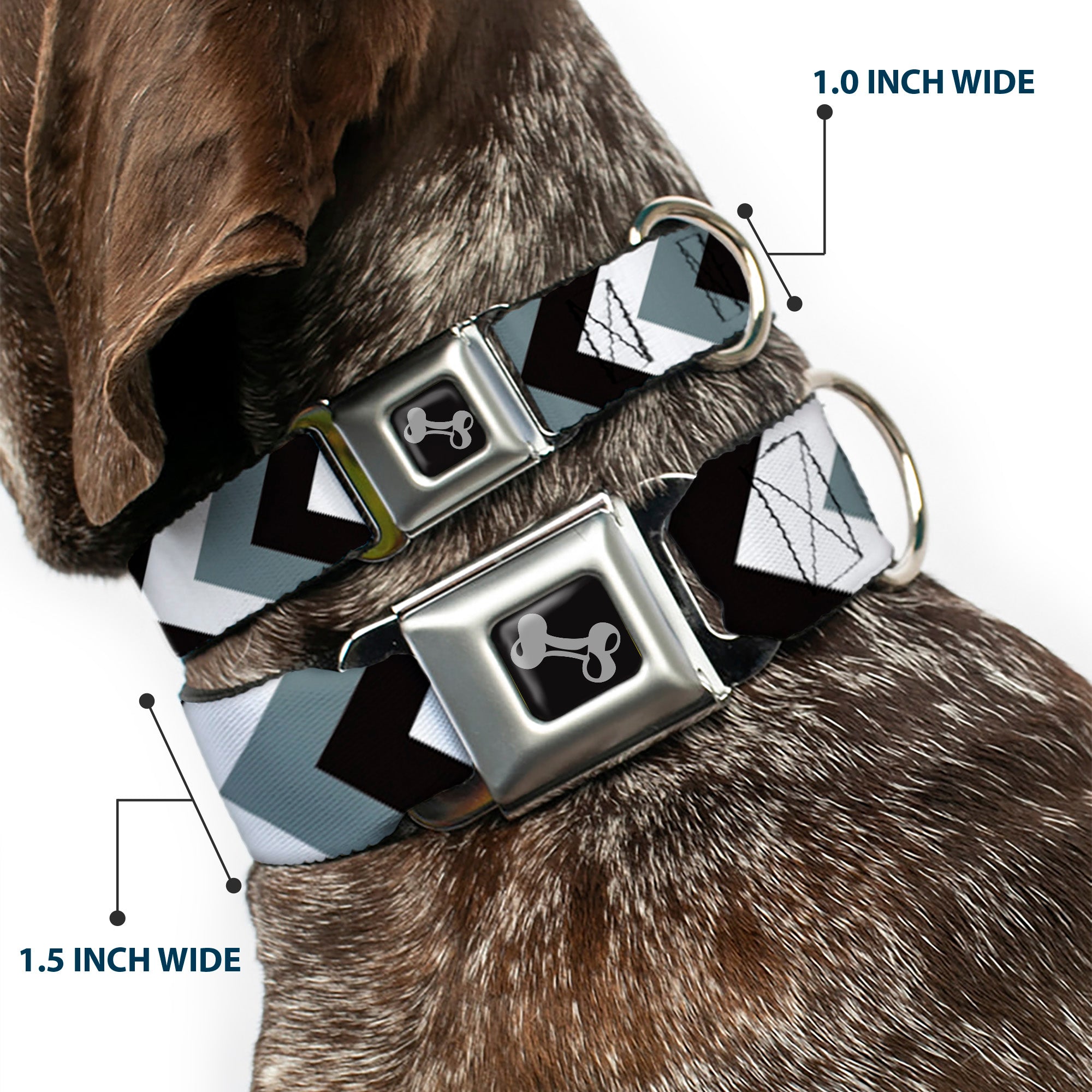 Dog Bone Seatbelt Buckle Collar - Chevron White/Gray/Black Seatbelt Buckle Collars Buckle-Down
