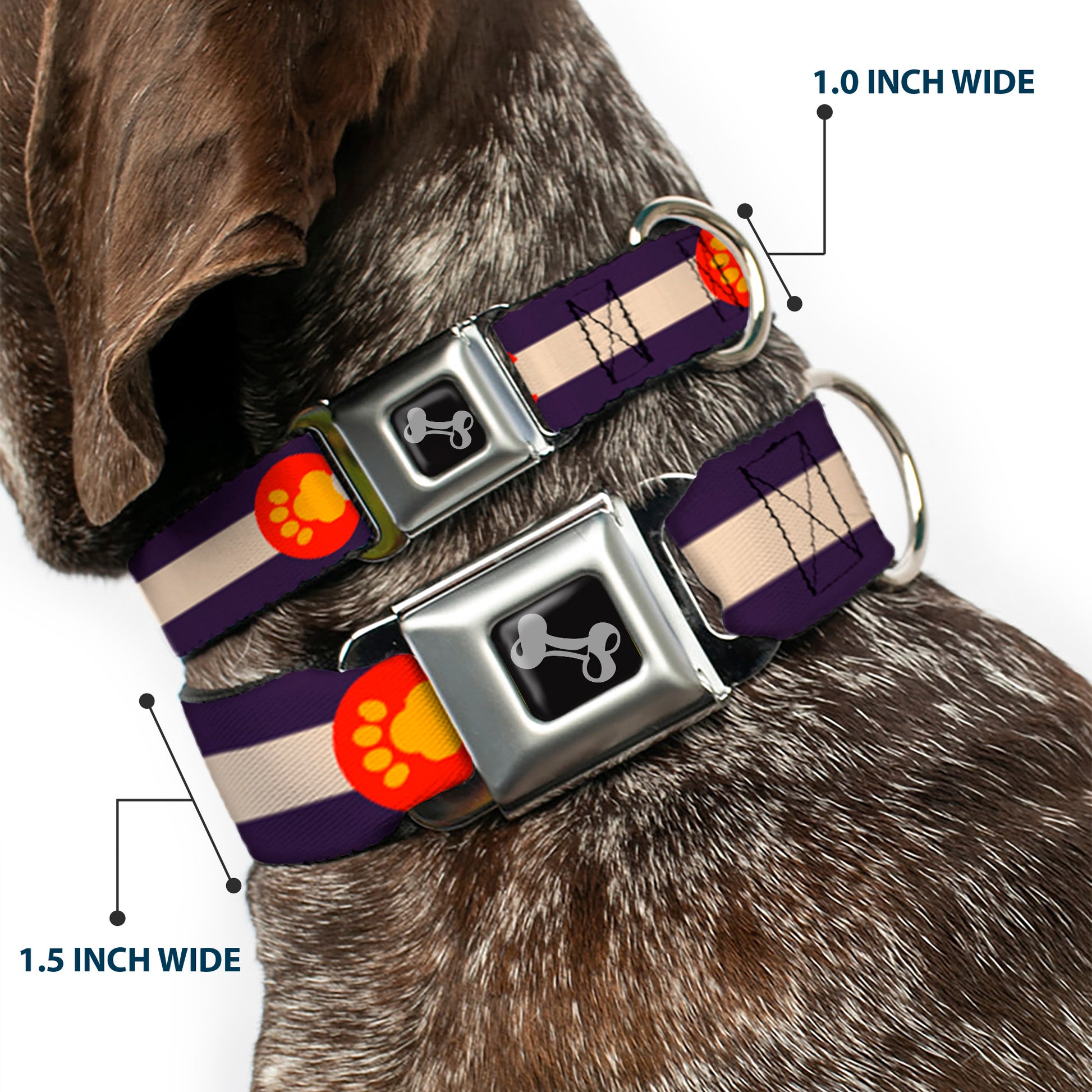Dog Bone Seatbelt Buckle Collar - Colorado Flag/Paw Print Seatbelt Buckle Collars Buckle-Down