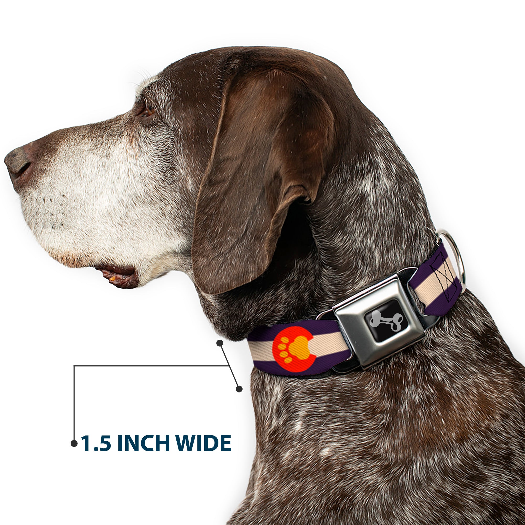 Dog Bone Seatbelt Buckle Collar - Colorado Flag/Paw Print Seatbelt Buckle Collars Buckle-Down