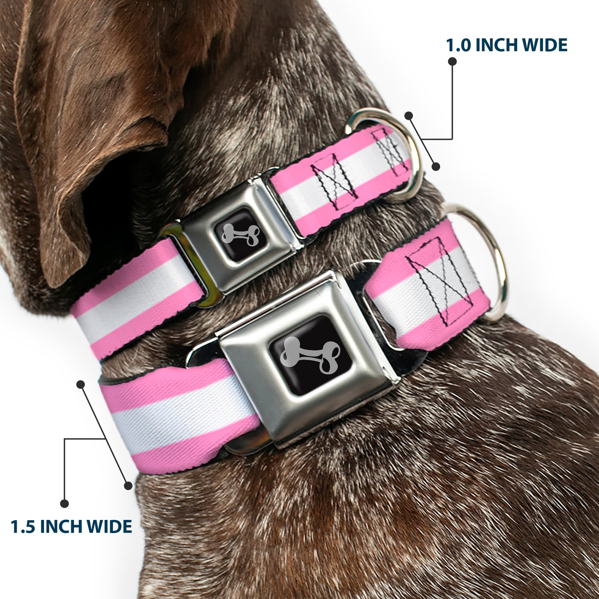 Dog Bone Seatbelt Buckle Collar - Colorado Flags5 Repeat Light Pink/White/Pink/Yellow Seatbelt Buckle Collars Buckle-Down