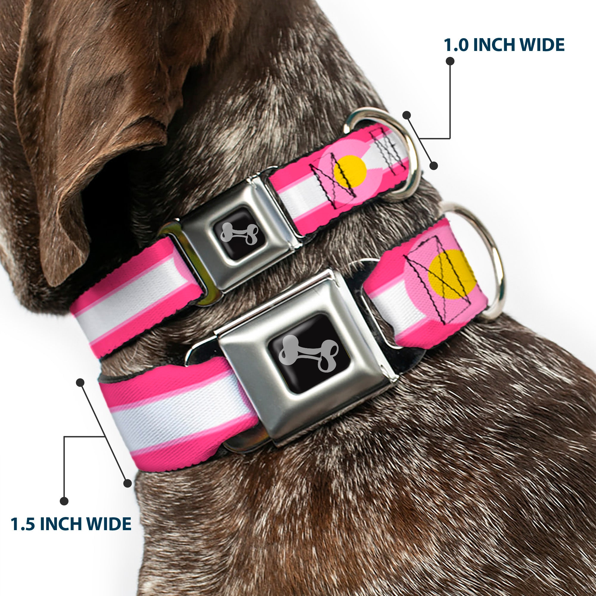 Dog Bone Seatbelt Buckle Collar - Colorado Flags7 Repeat Pinks/White/Light Pink/Yellow Seatbelt Buckle Collars Buckle-Down