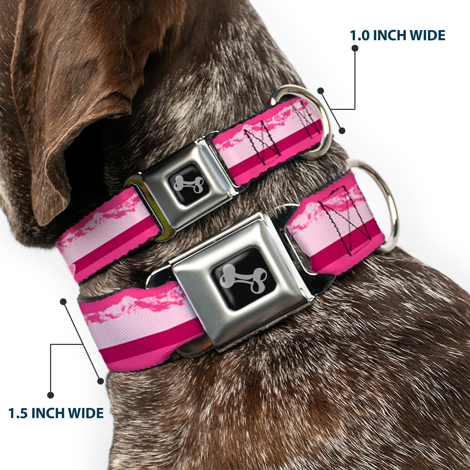Dog Bone Seatbelt Buckle Collar - Colorado Paw/Mountains Pinks Seatbelt Buckle Collars Buckle-Down