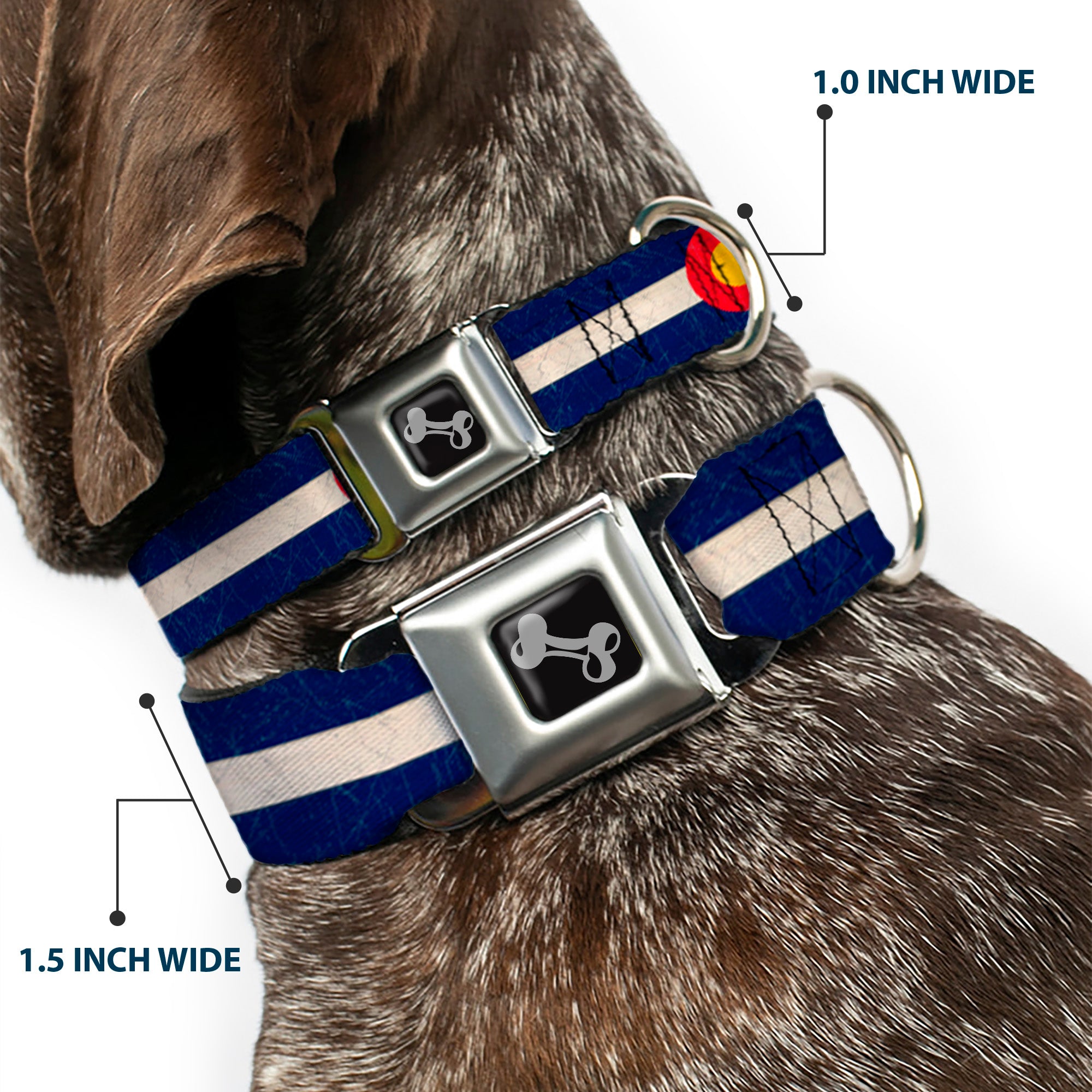 Dog Bone Seatbelt Buckle Collar - Colorado Flags2 Repeat Vintage Seatbelt Buckle Collars Buckle-Down