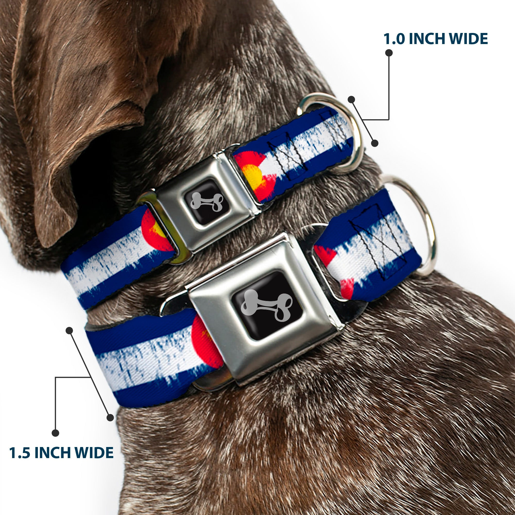 Dog Bone Seatbelt Buckle Collar - Colorado Flags2 Repeat Weathered Seatbelt Buckle Collars Buckle-Down