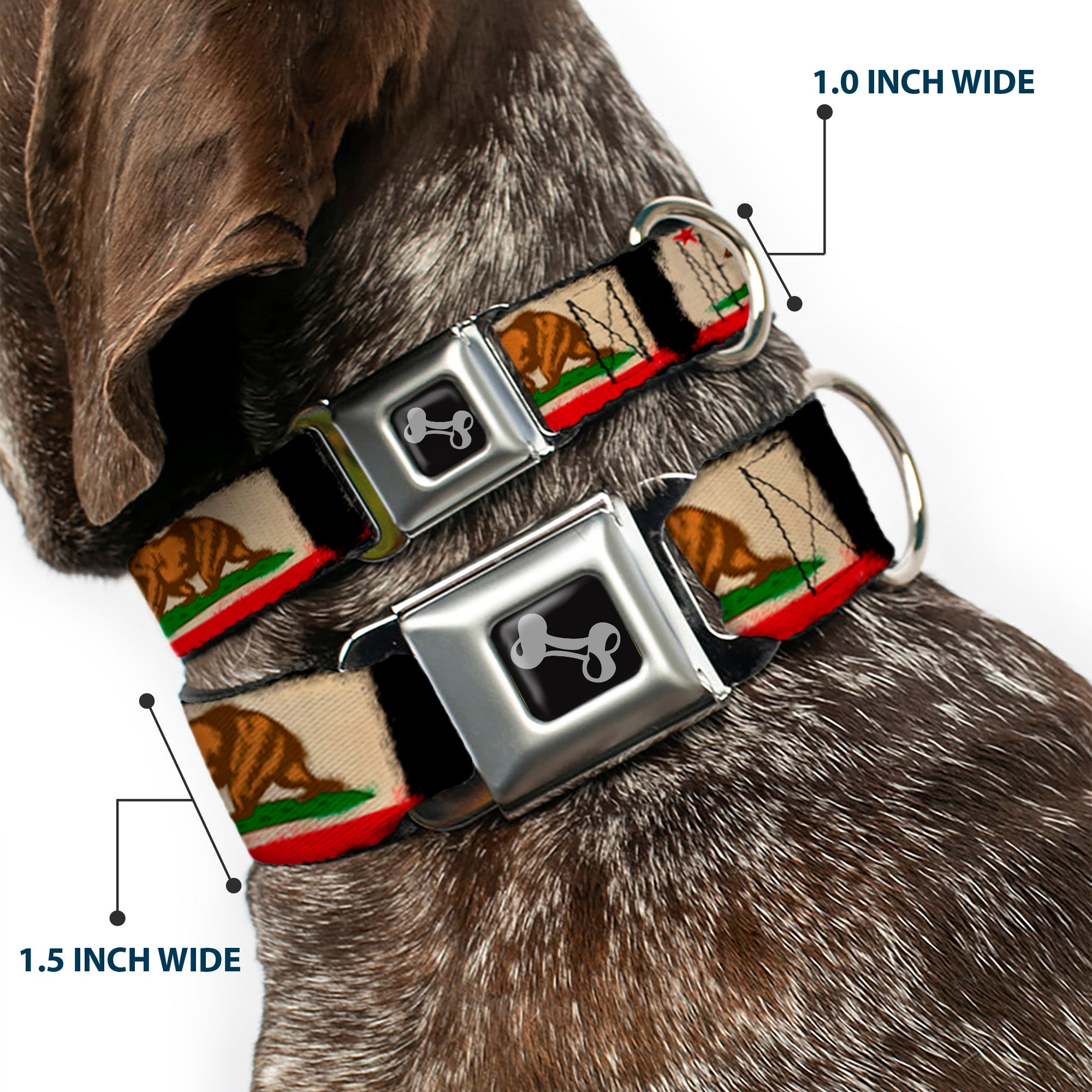 Dog Bone Seatbelt Buckle Collar - California Flag Distressed Painting Blocks Seatbelt Buckle Collars Buckle-Down