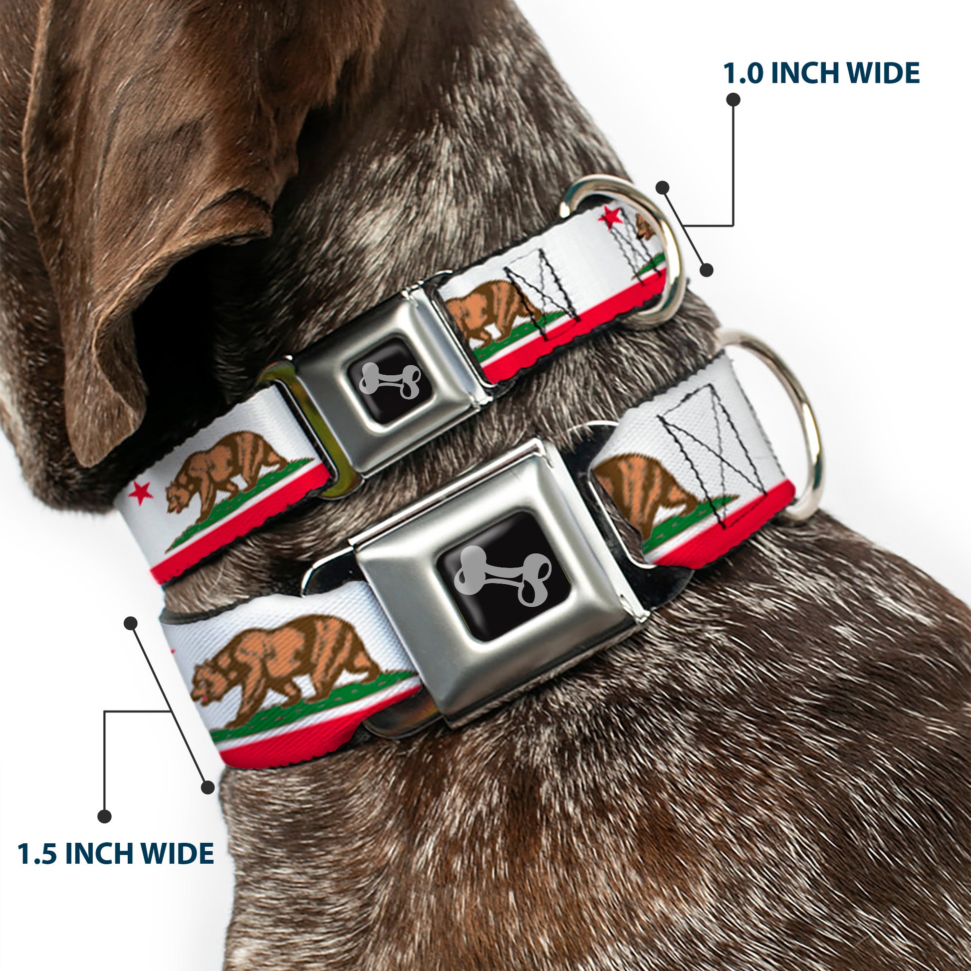 Dog Bone Seatbelt Buckle Collar - California Flag White w/Stripe Seatbelt Buckle Collars Buckle-Down