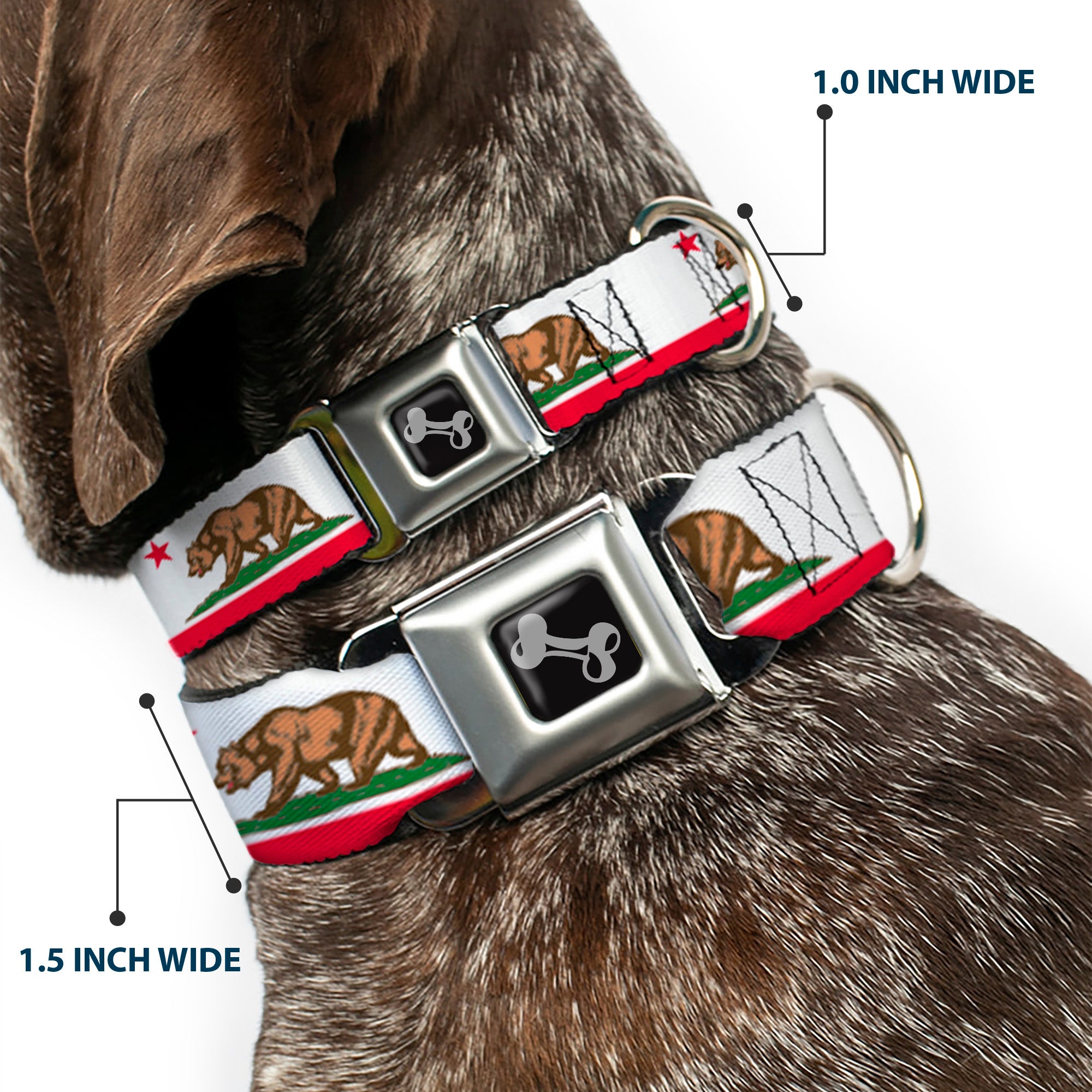 Dog Bone Seatbelt Buckle Collar - California Flag White w/Stripe Seatbelt Buckle Collars Buckle-Down