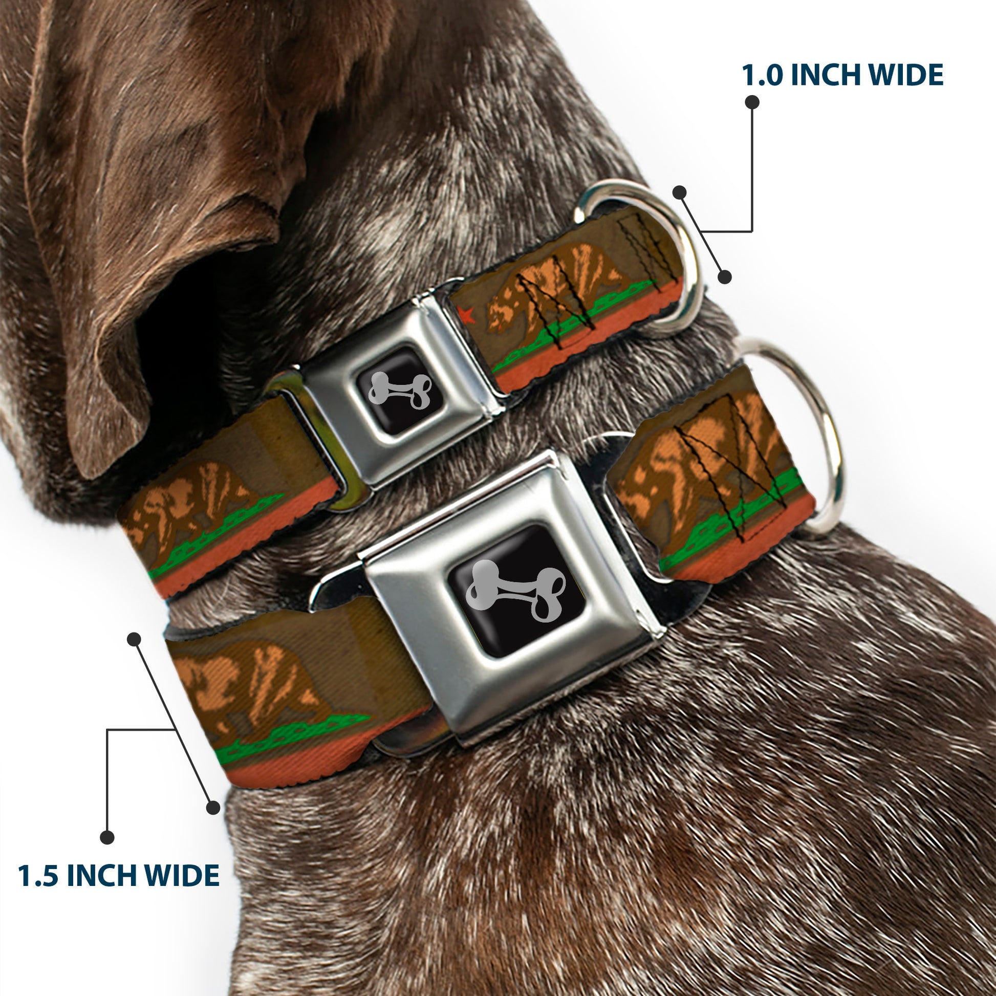 Dog Bone Seatbelt Buckle Collar - California Flag Weathered Browns Seatbelt Buckle Collars Buckle-Down