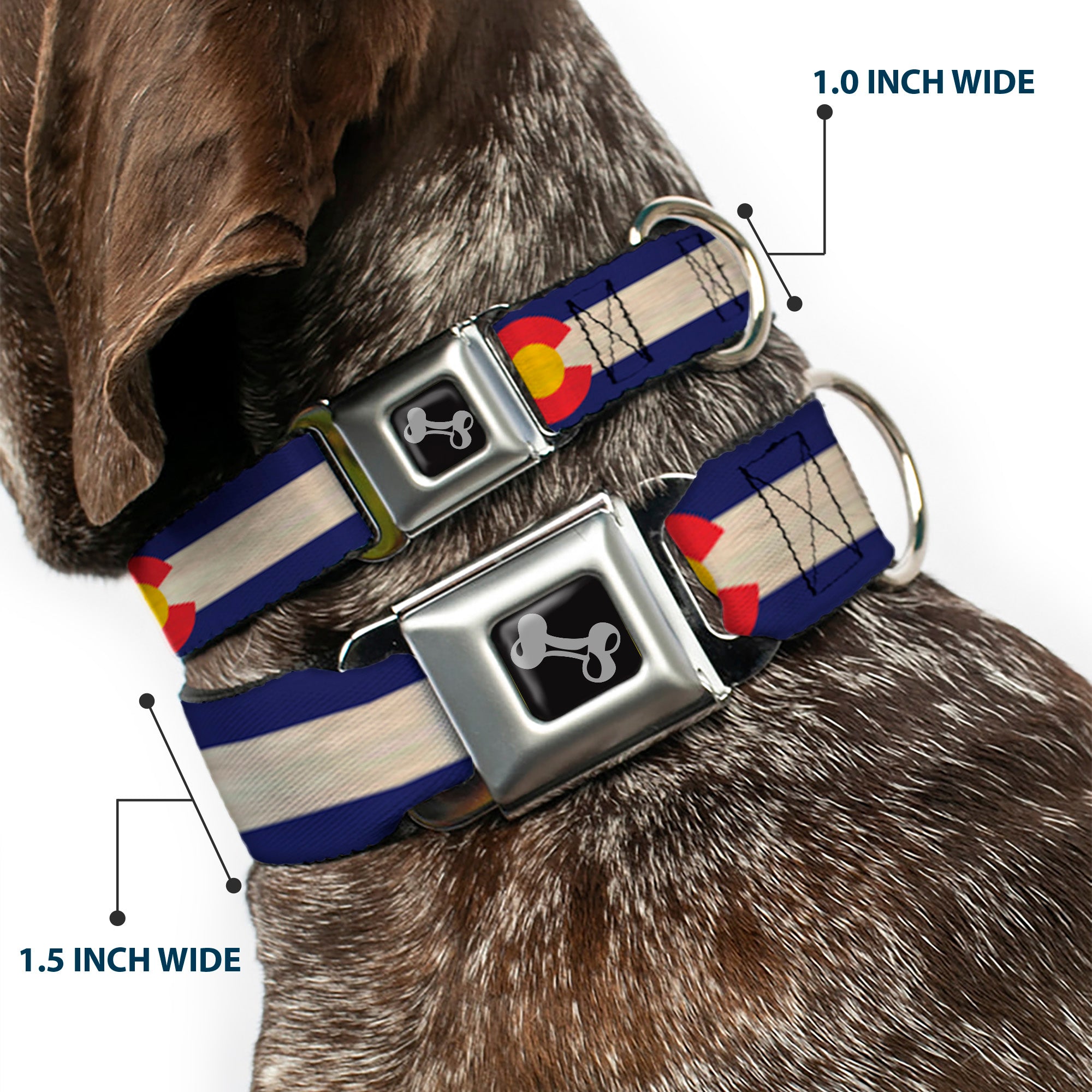 Dog Bone Seatbelt Buckle Collar - Colorado Flags2 Repeat Vintage2 Seatbelt Buckle Collars Buckle-Down