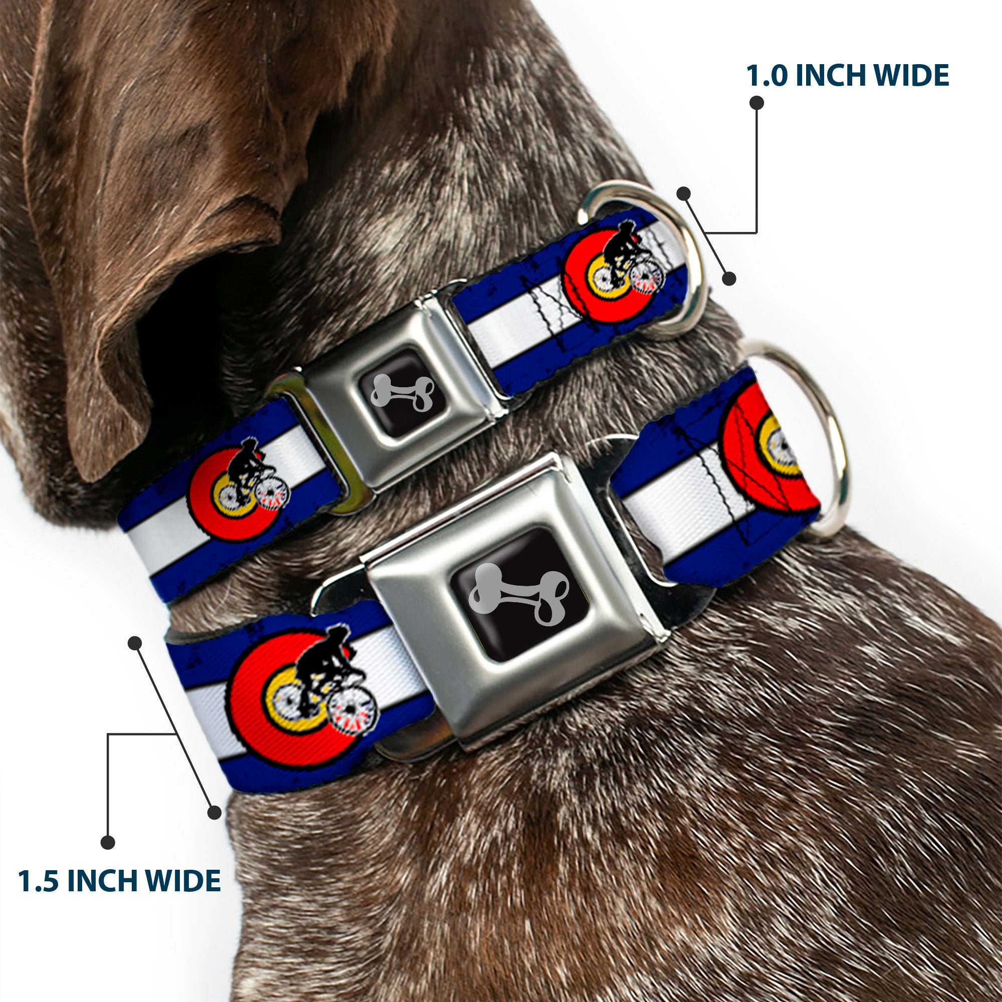 Dog Bone Seatbelt Buckle Collar - Colorado Biker Distressed Seatbelt Buckle Collars Buckle-Down
