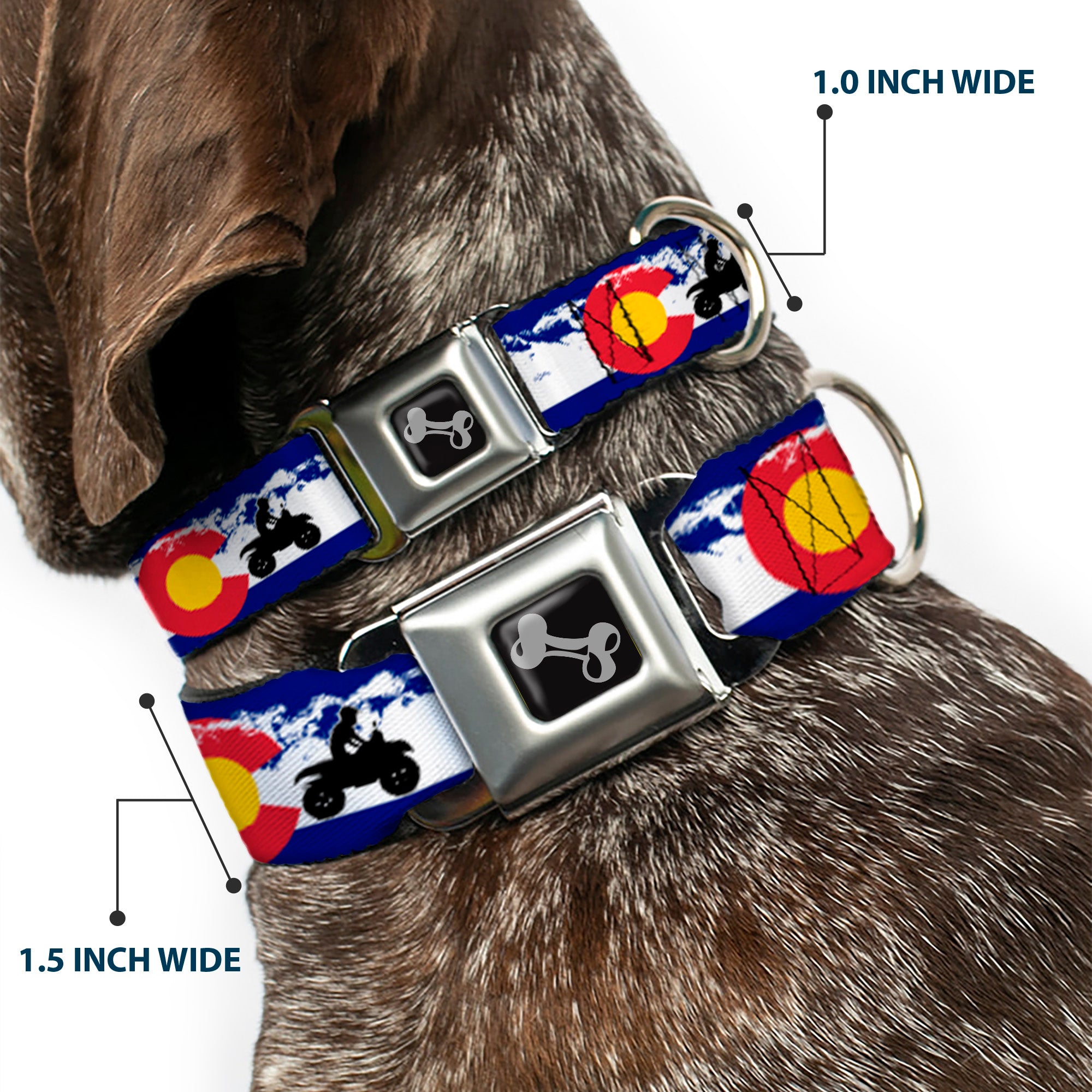 Dog Bone Seatbelt Buckle Collar - Colorado/ATV Rider/Mountains Seatbelt Buckle Collars Buckle-Down