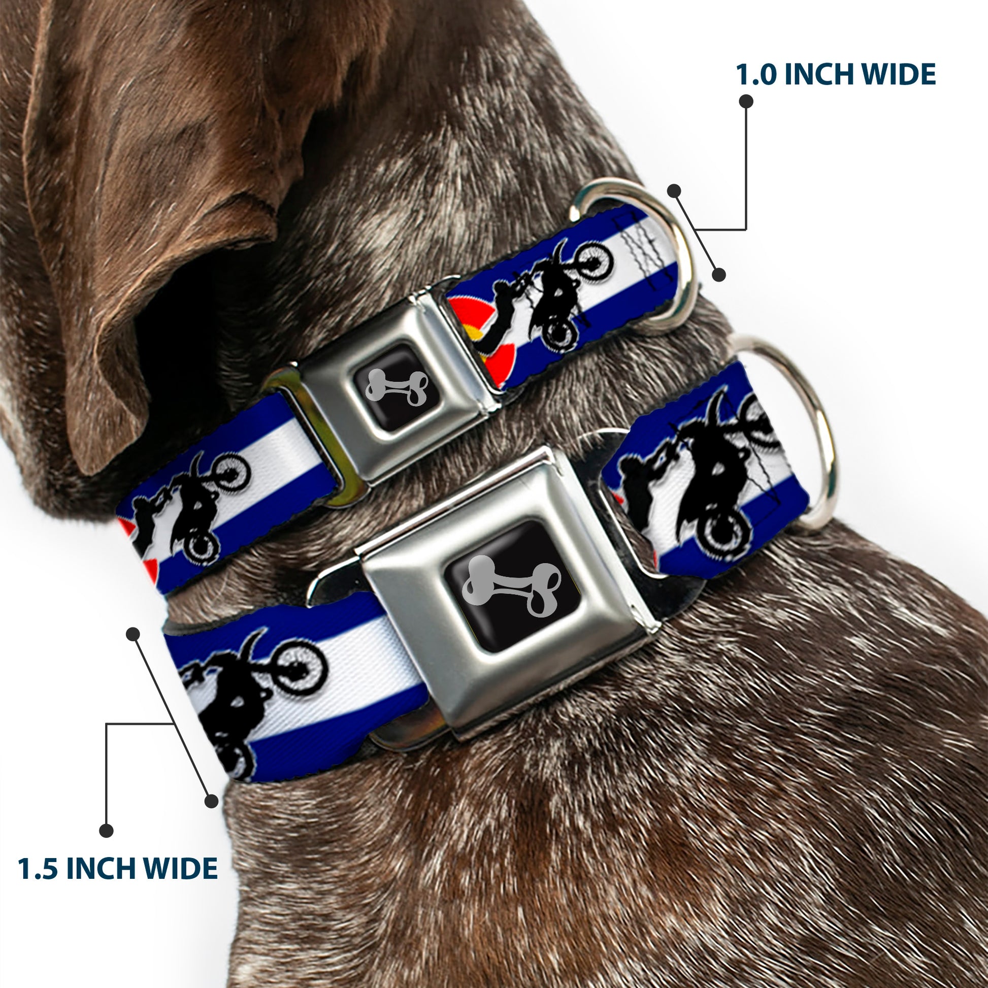 Dog Bone Seatbelt Buckle Collar - Colorado/Freestyle Motocross Superman Seatbelt Buckle Collars Buckle-Down