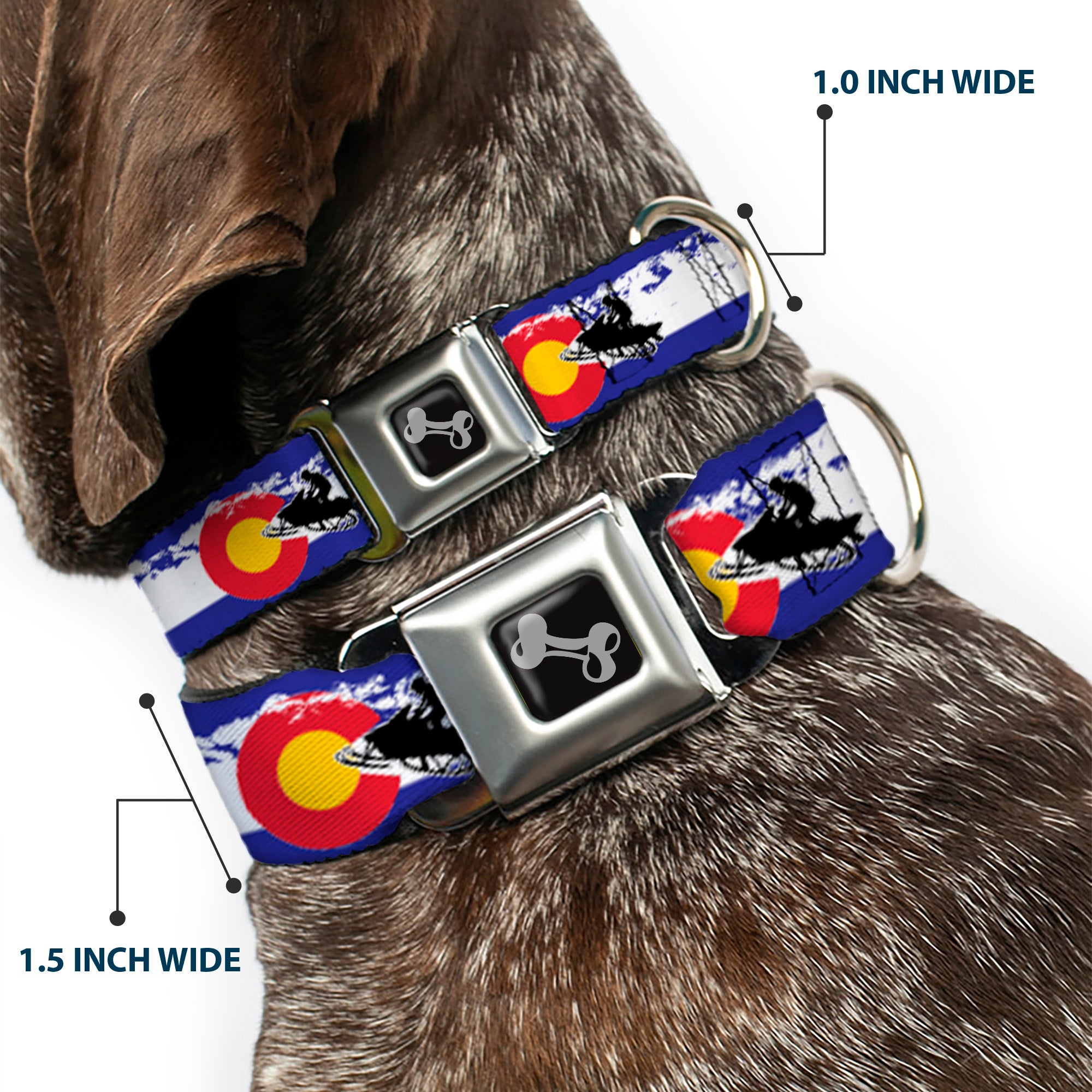 Dog Bone Seatbelt Buckle Collar - Colorado/Snowmobiler/Mountains Seatbelt Buckle Collars Buckle-Down