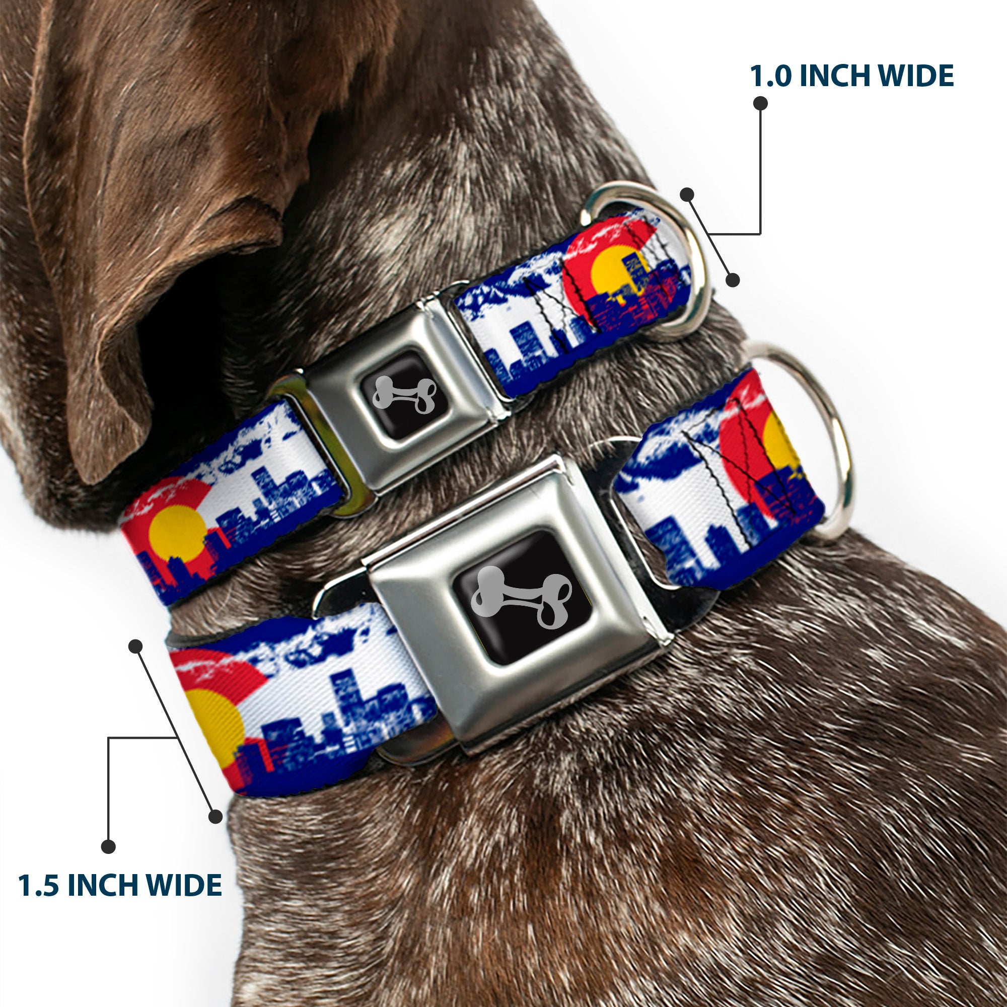 Dog Bone Seatbelt Buckle Collar - Colorado Skyline/Mountains Seatbelt Buckle Collars Buckle-Down