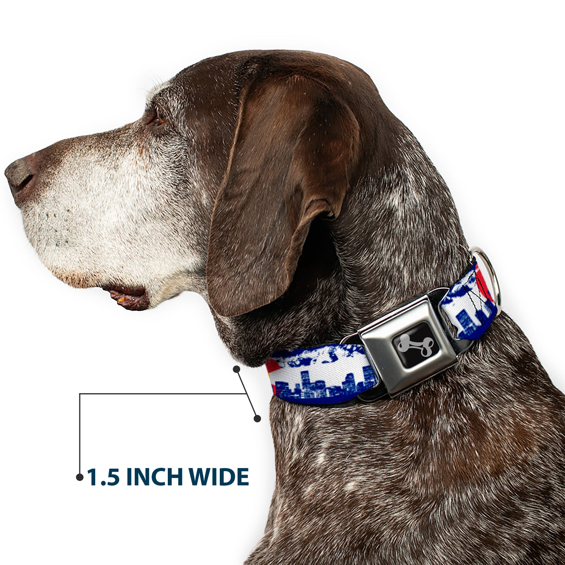 Dog Bone Seatbelt Buckle Collar - Colorado Skyline/Mountains Seatbelt Buckle Collars Buckle-Down