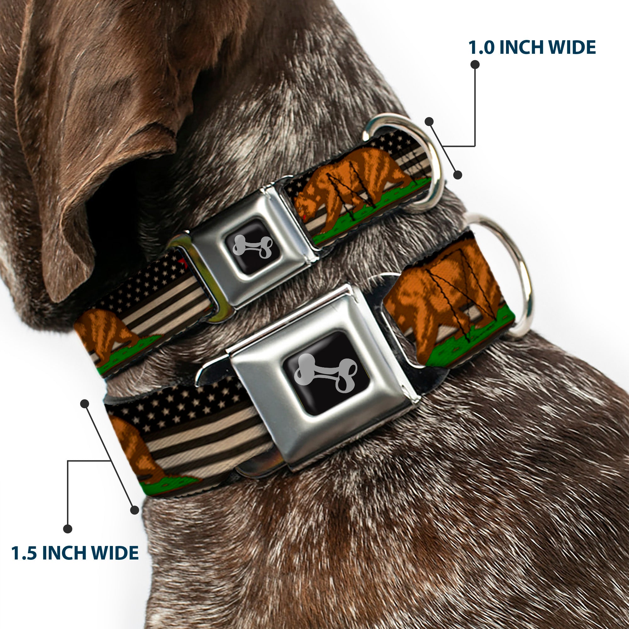 Dog Bone Seatbelt Buckle Collar - Cali Bear/Star/US Flag Stretch Black/White/Red Seatbelt Buckle Collars Buckle-Down