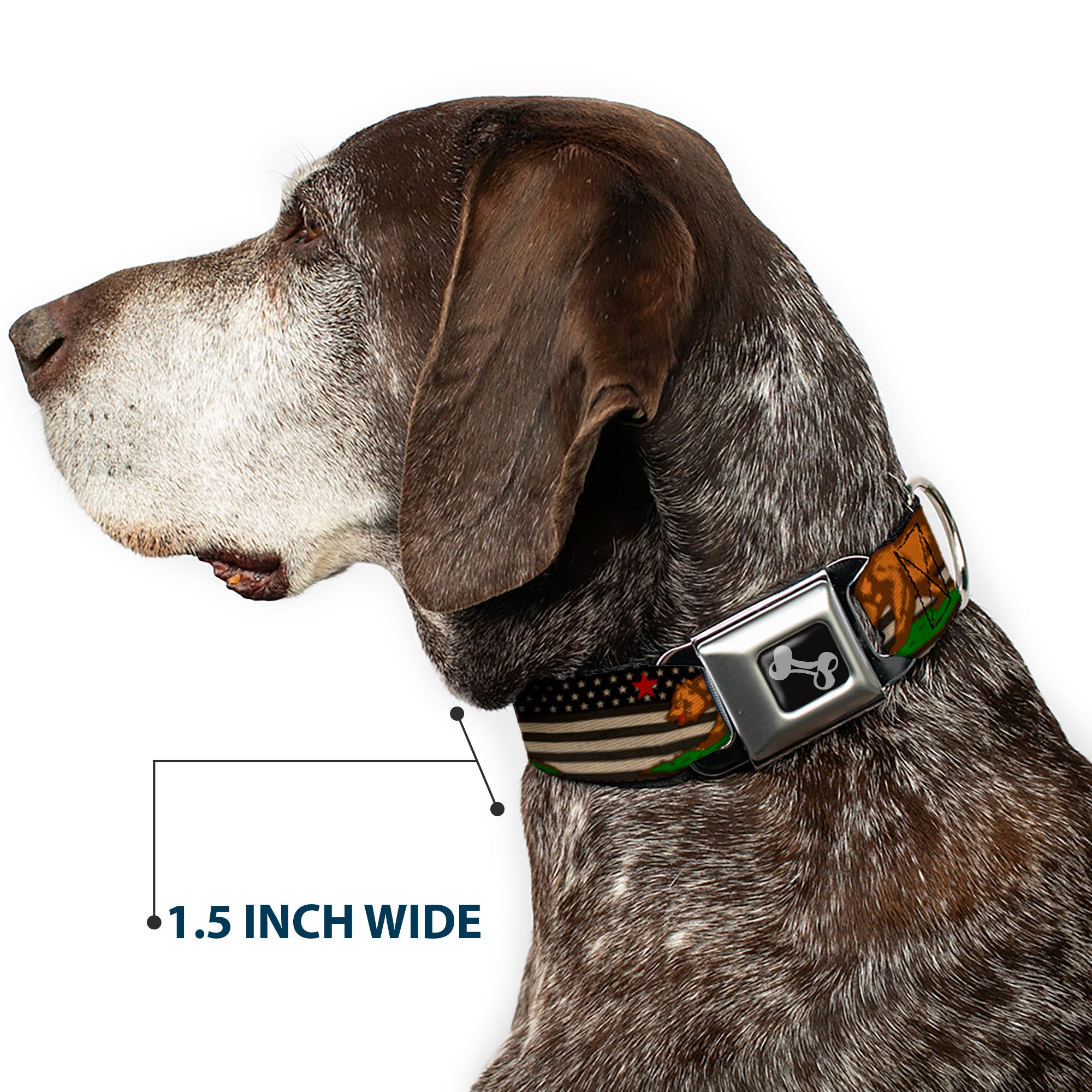 Dog Bone Seatbelt Buckle Collar - Cali Bear/Star/US Flag Stretch Black/White/Red Seatbelt Buckle Collars Buckle-Down