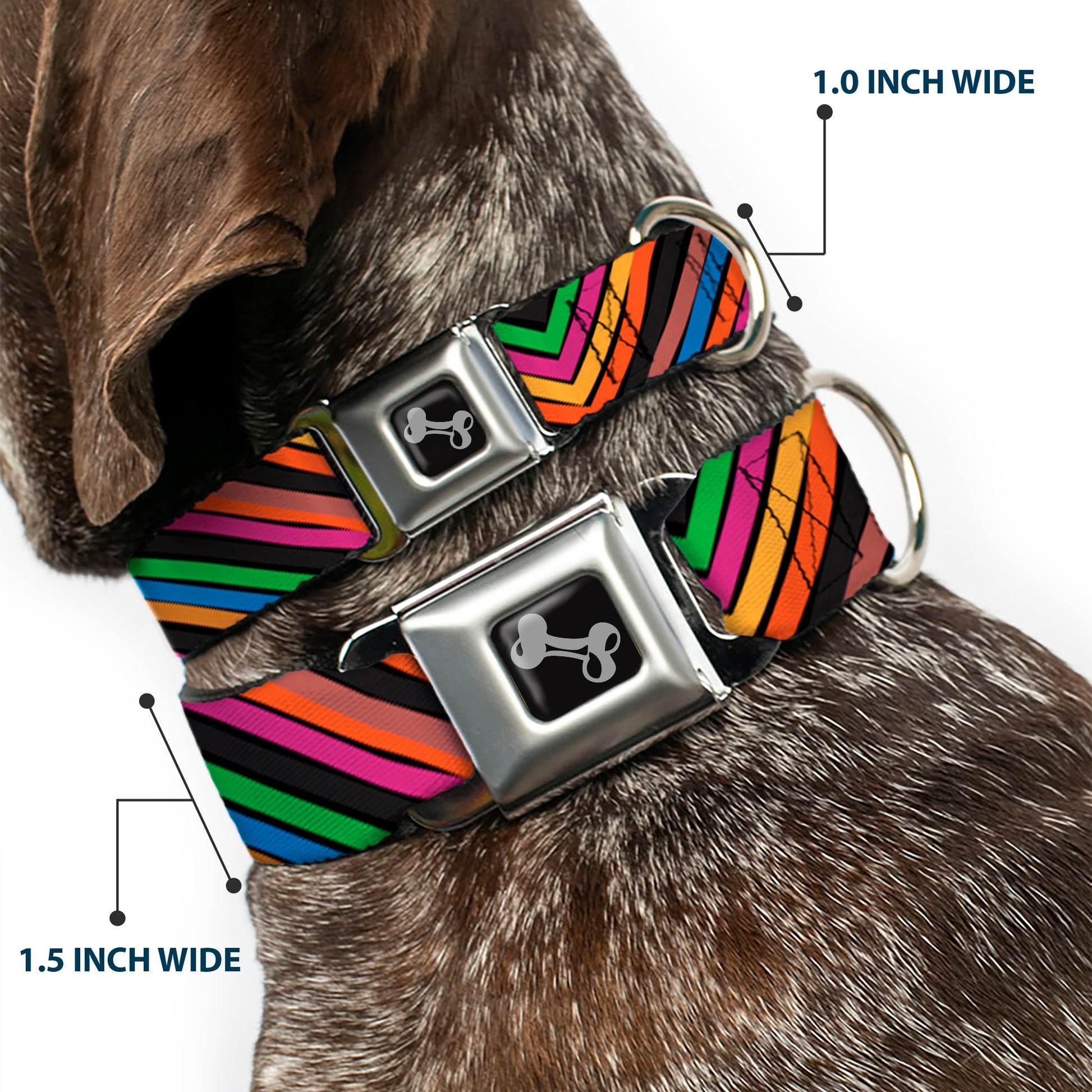 Dog Bone Seatbelt Buckle Collar - Chevron Freehand CLOSE-UP Multi Color Seatbelt Buckle Collars Buckle-Down